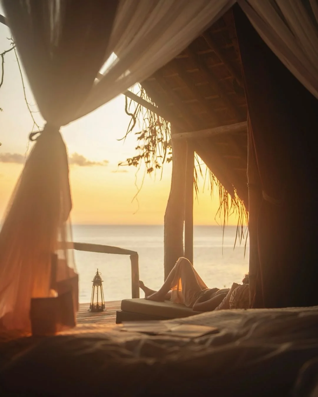 Greystoke Mahale, a year on. Lake Tanganyika, the Mahale Mountains, soft sand beach and jungly forest; some of the best people to spend time with; chimpanzees and a stork called Greystork; glorious afternoon light, good friends and chilled wine, swim