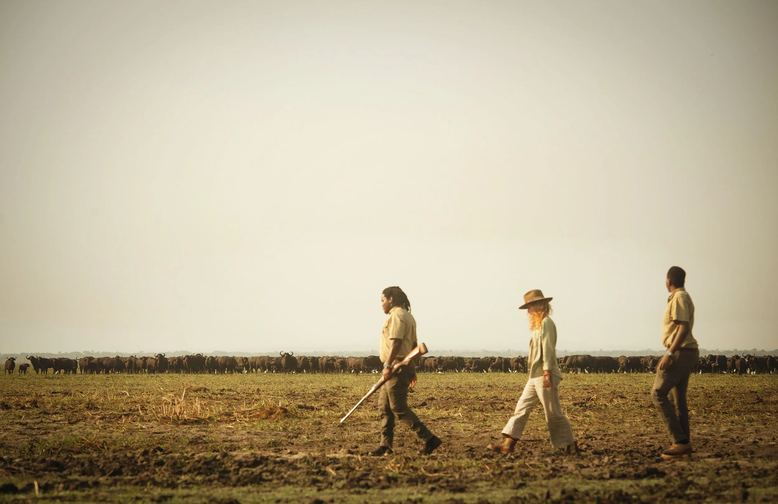 Three people walking in a field with a herd of animals in the background under a clear sky.