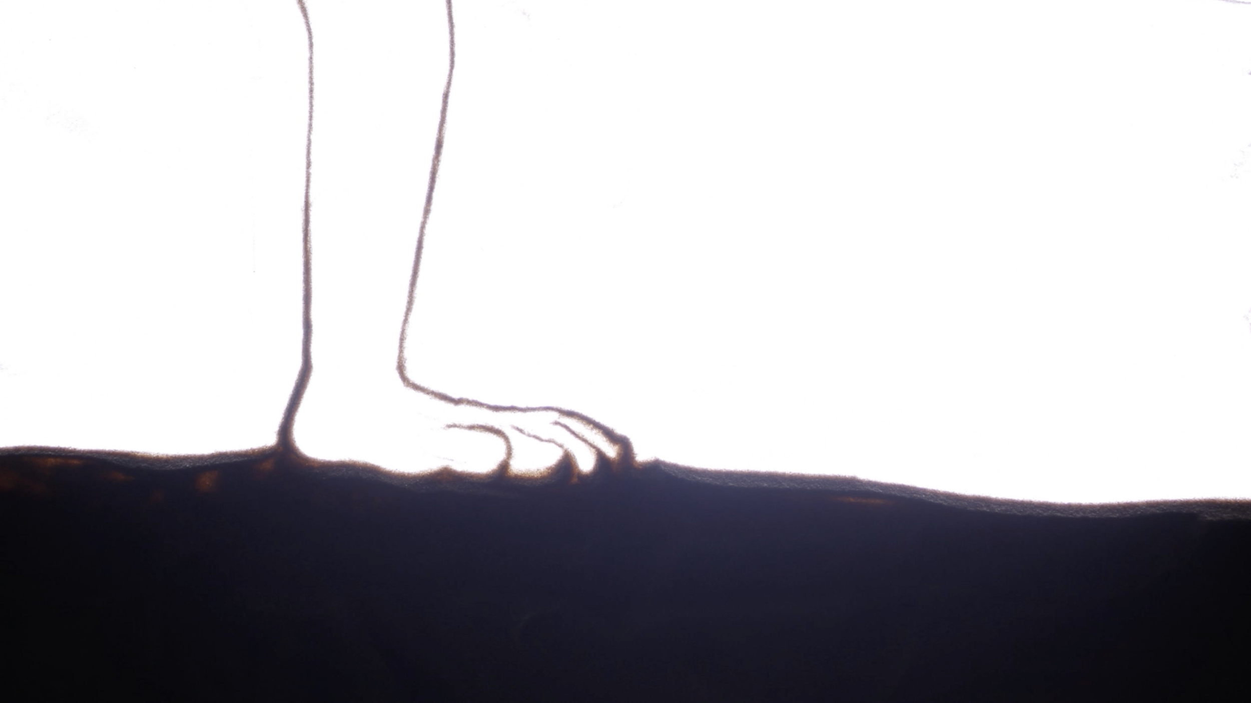 Screenshot 2025-11-25 at 19.45.23.png