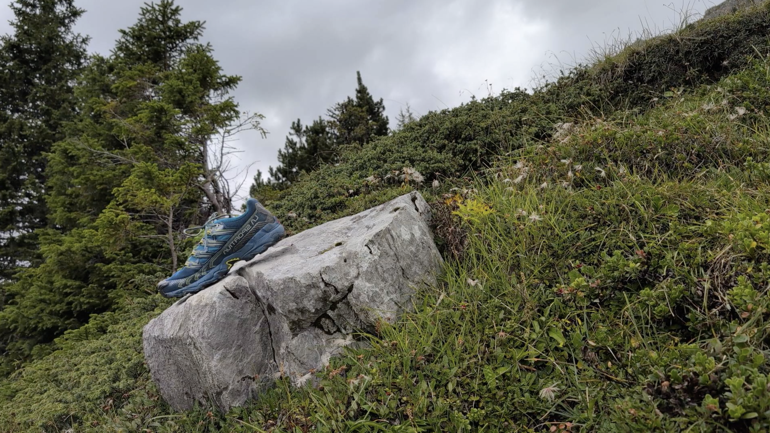 Screenshot 2025-11-25 at 19.34.38.png