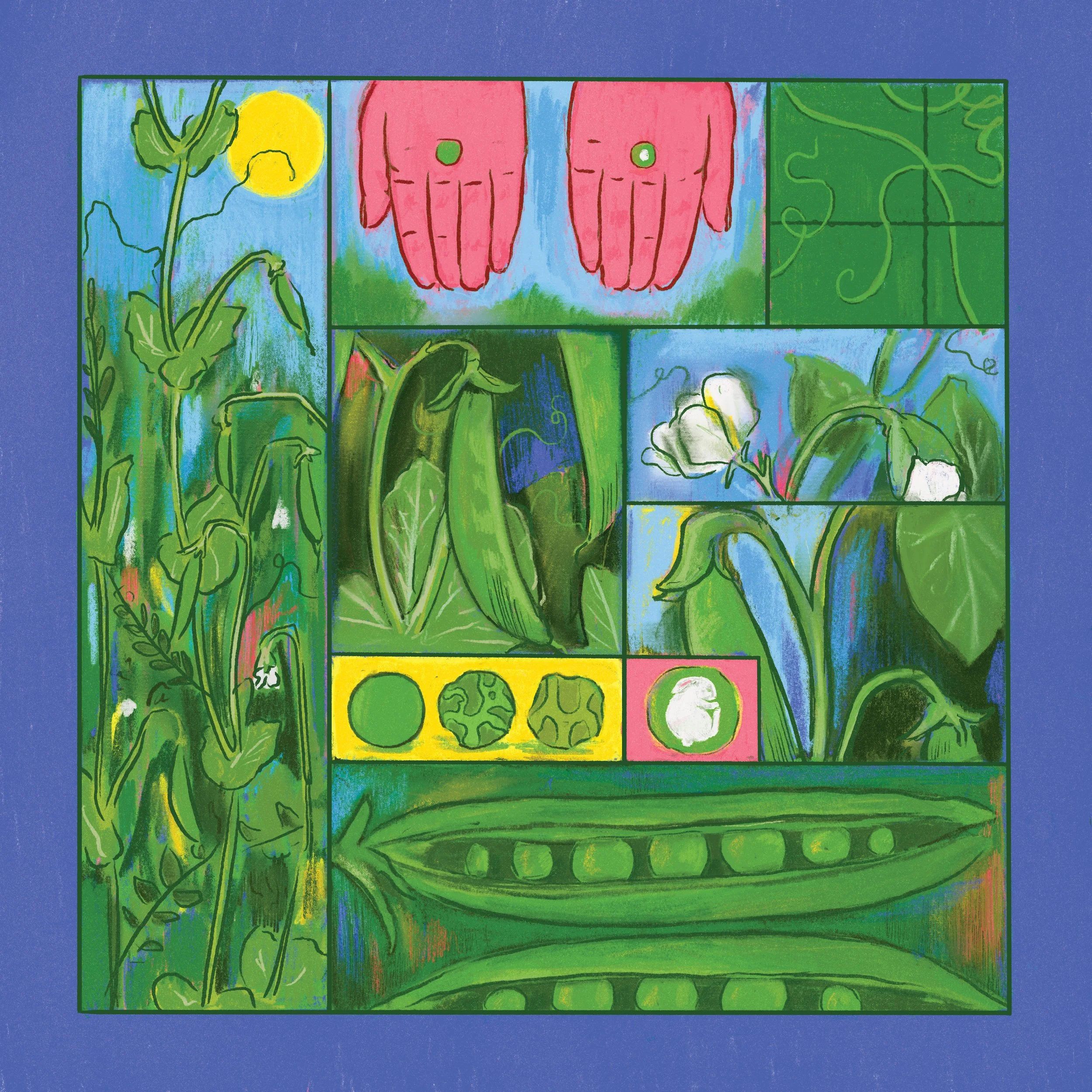 Commissions & Personal Work