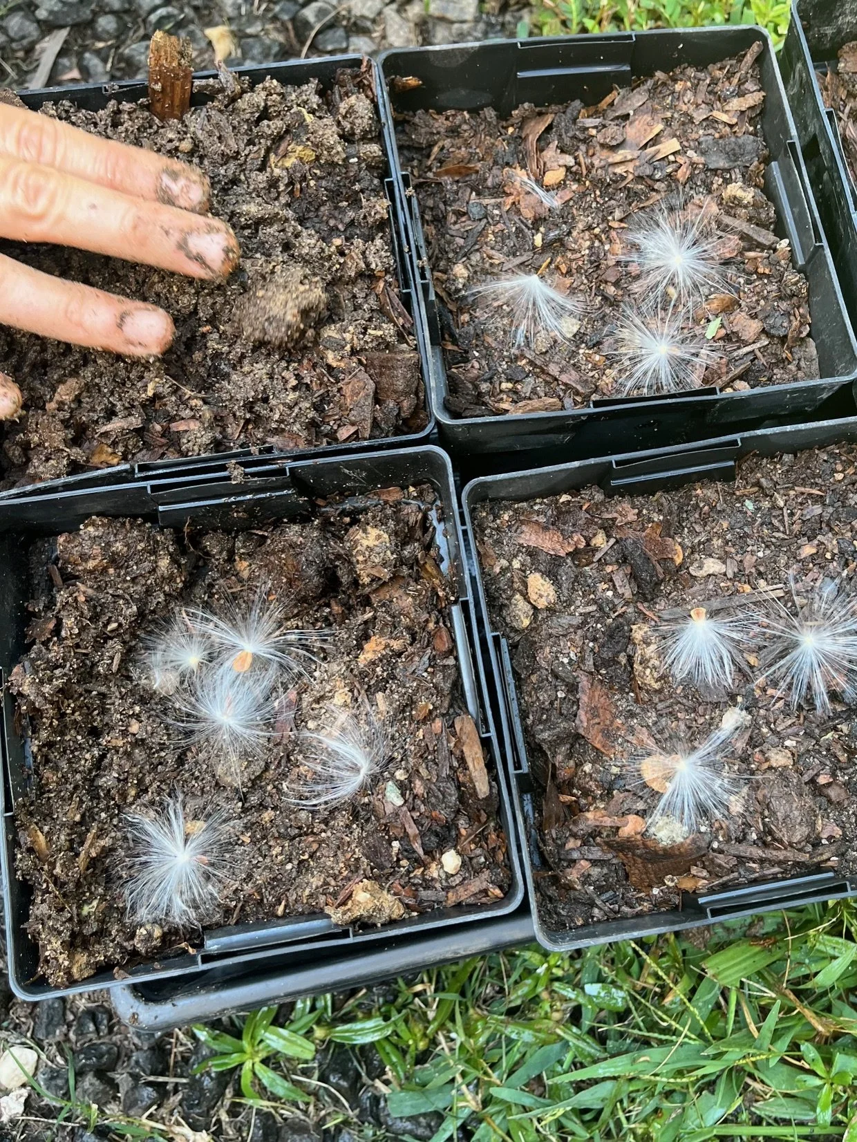 8 Steps to Healthier Soil