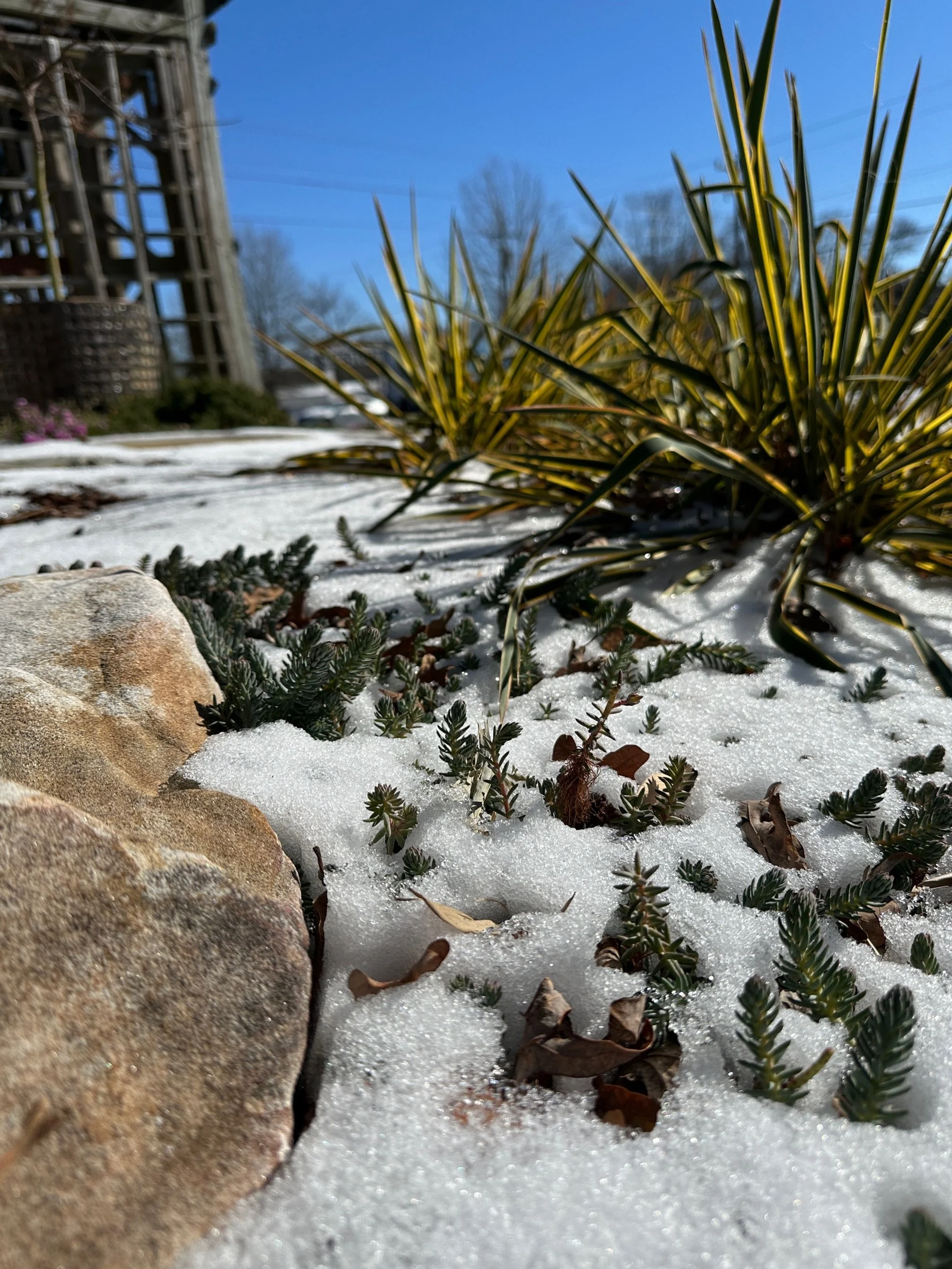 Preparing your Landscape for Snow