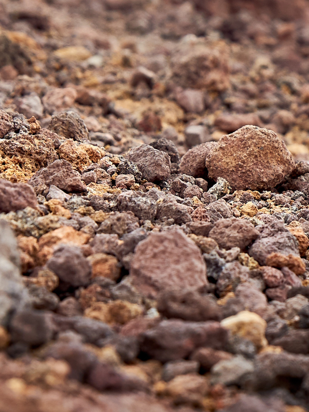 Time to Test Your Soil!