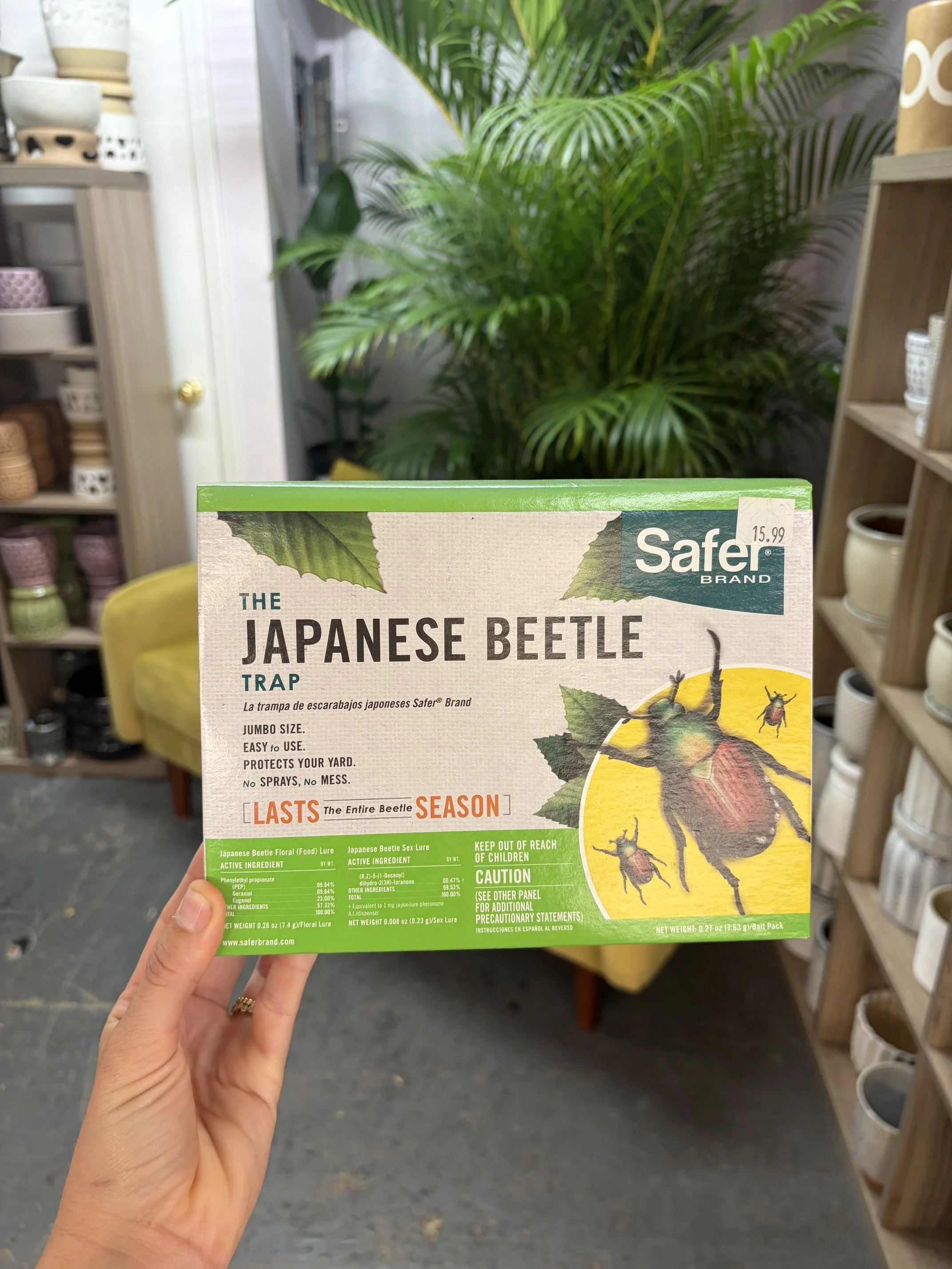 Battling Japanese Beetles