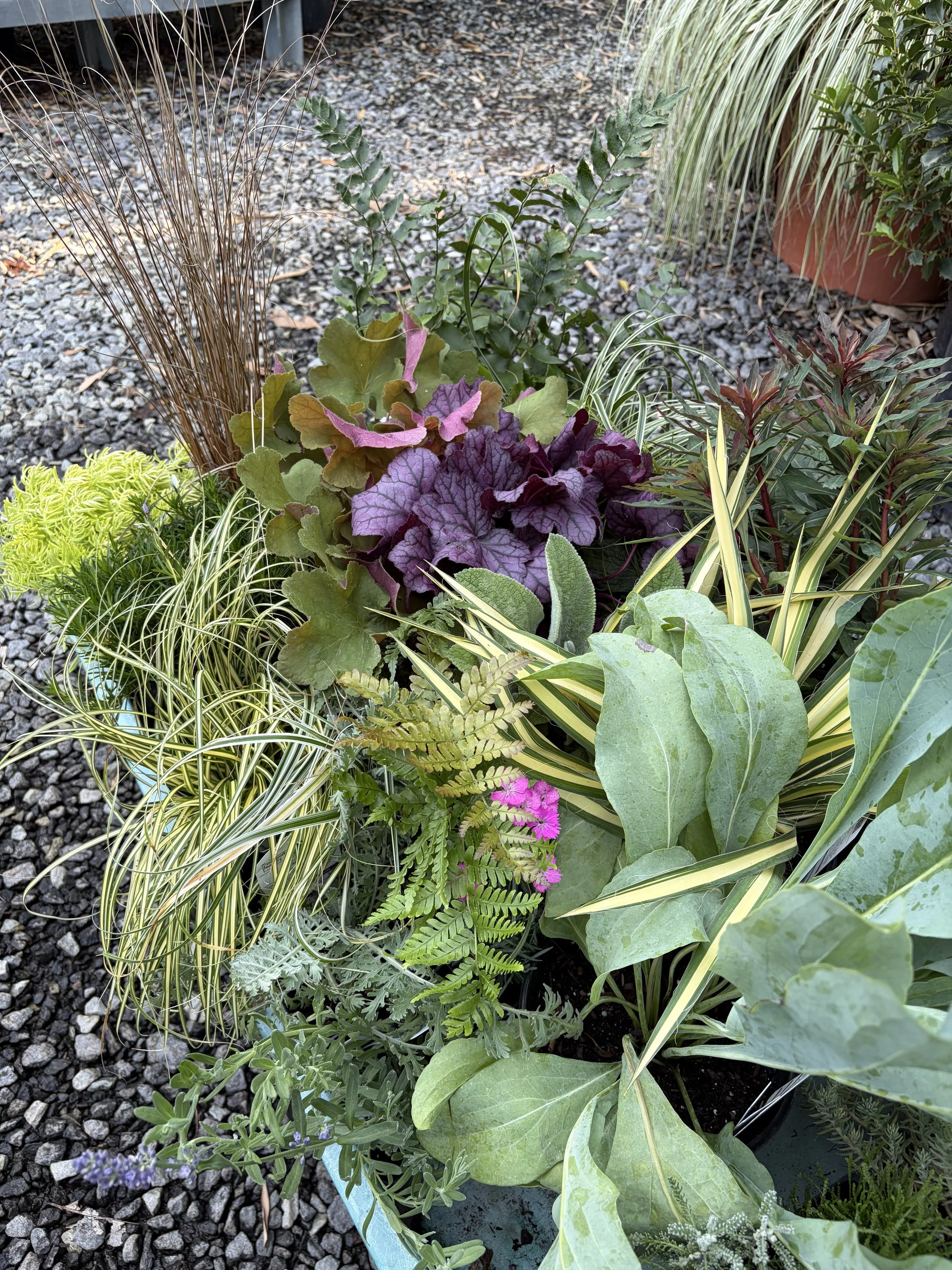 Creating a 4 Season Garden: Design Tips &amp; Plant Picks