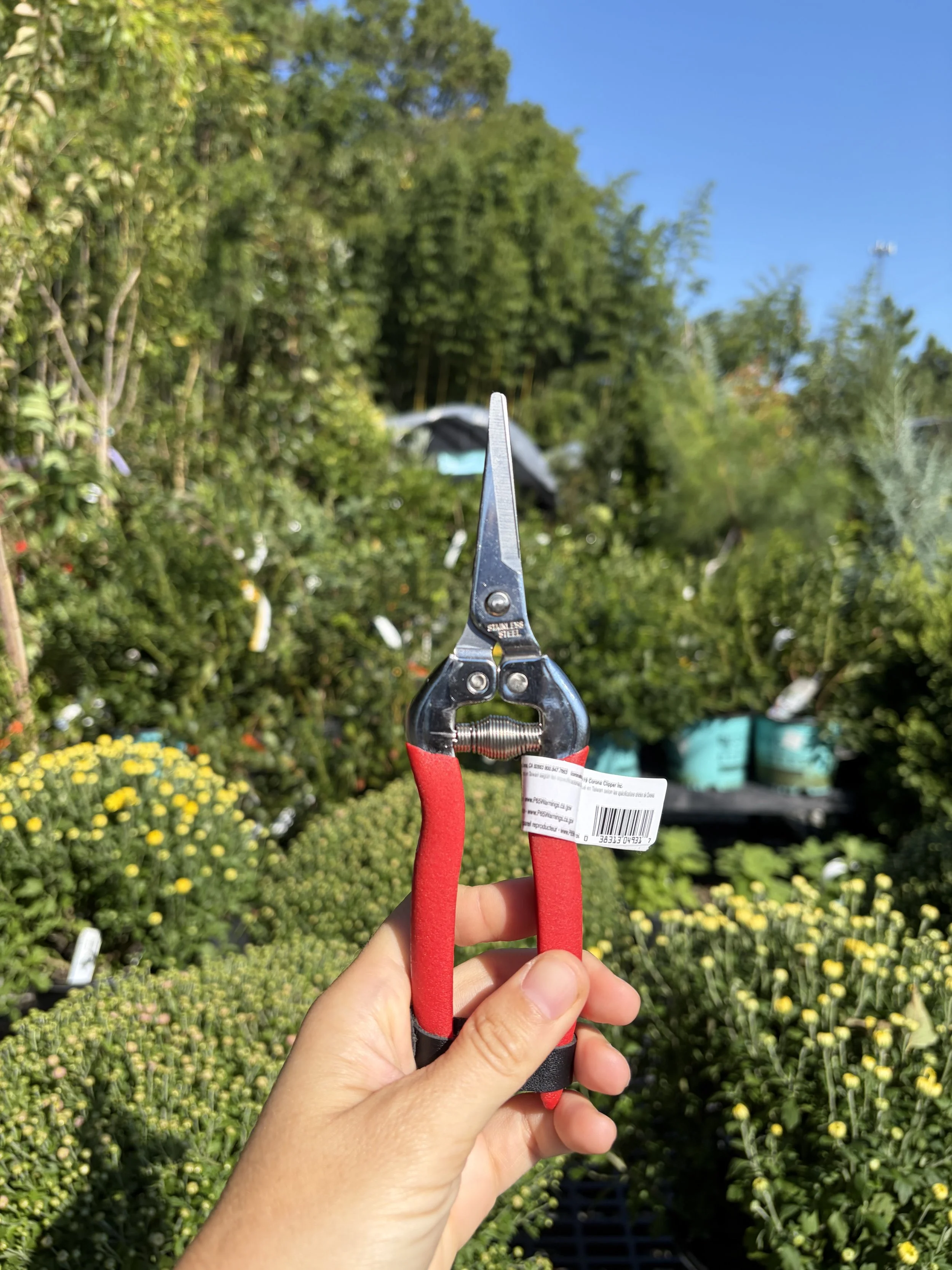 To Prune or Not to Prune