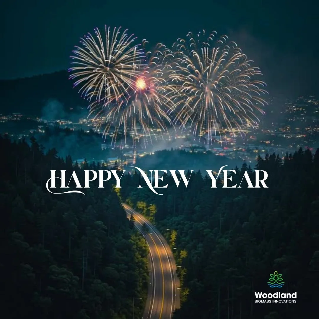 🎇🌲2025 Year-End Review 🌲🎇