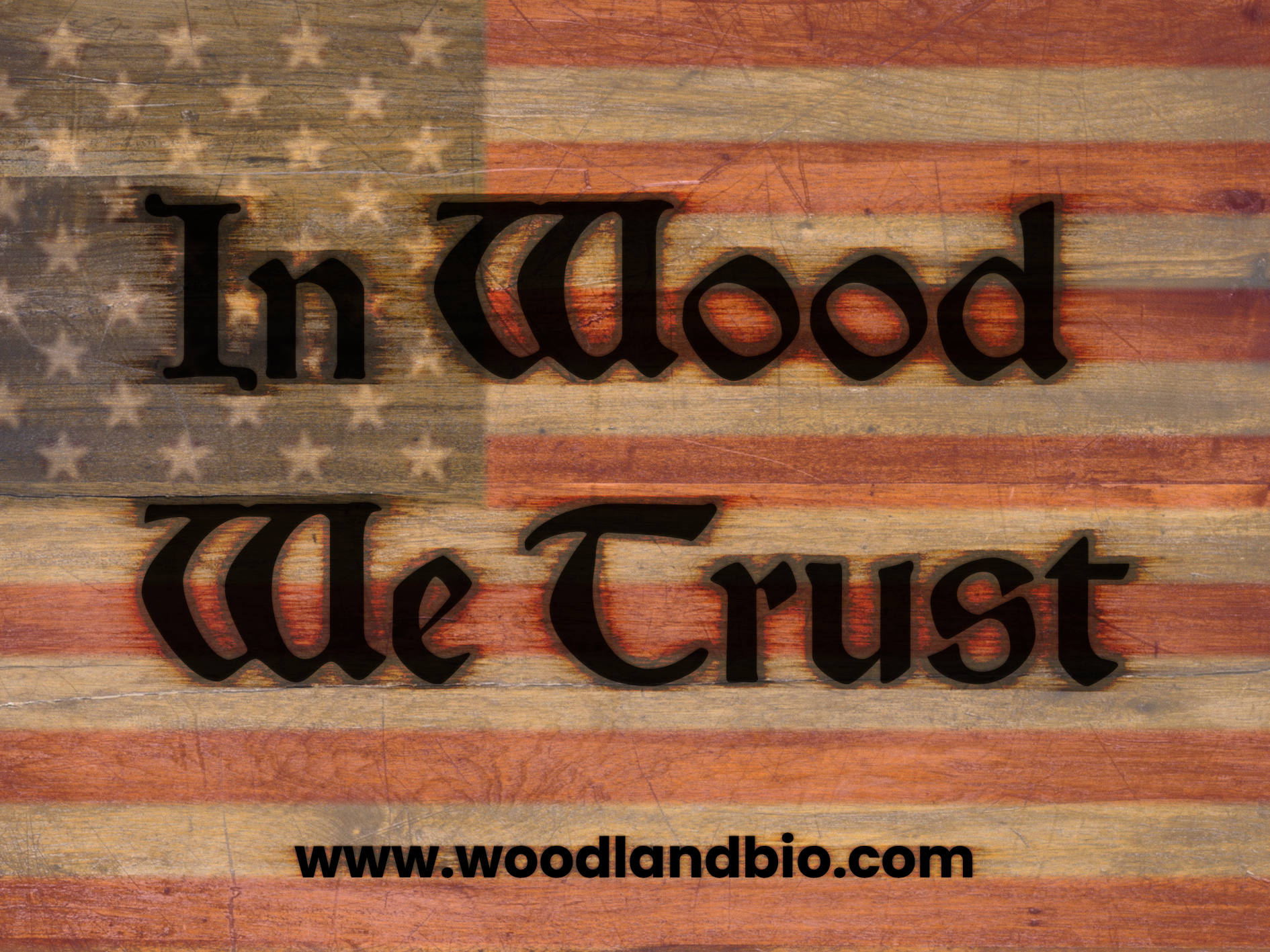 In Wood We Trust 