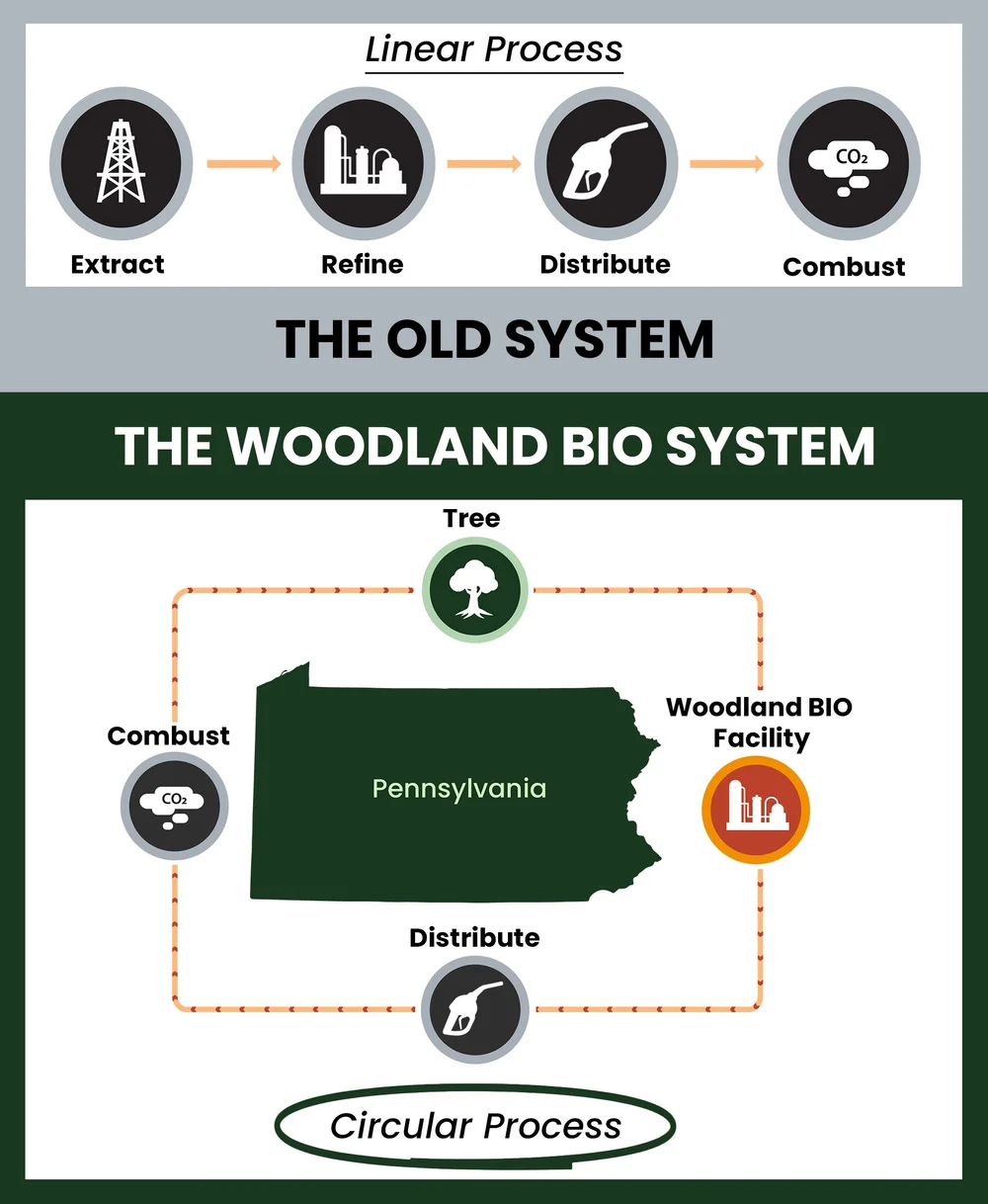 Supporting a Circular Economy — Woodland Biomass Innovations ...