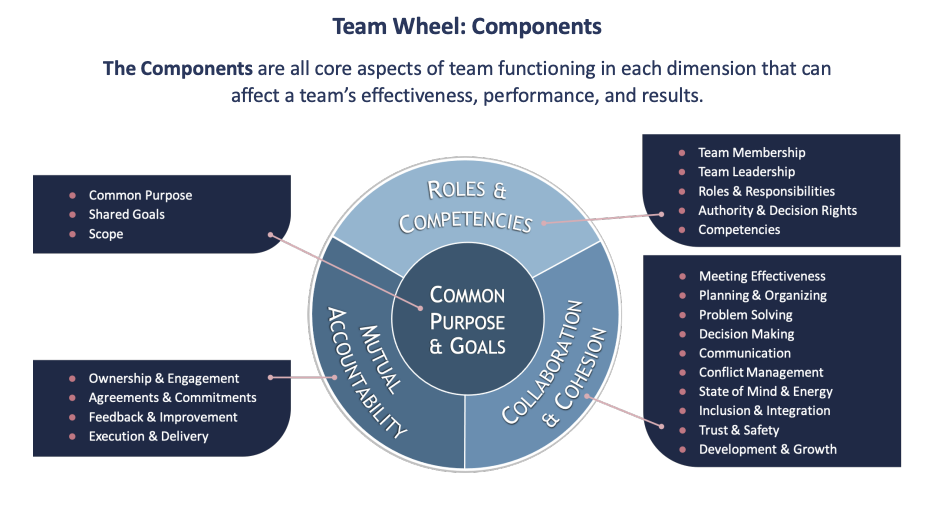 Team Leadership Model — Corentus