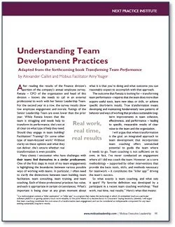 Understanding Team Development Practices — Corentus