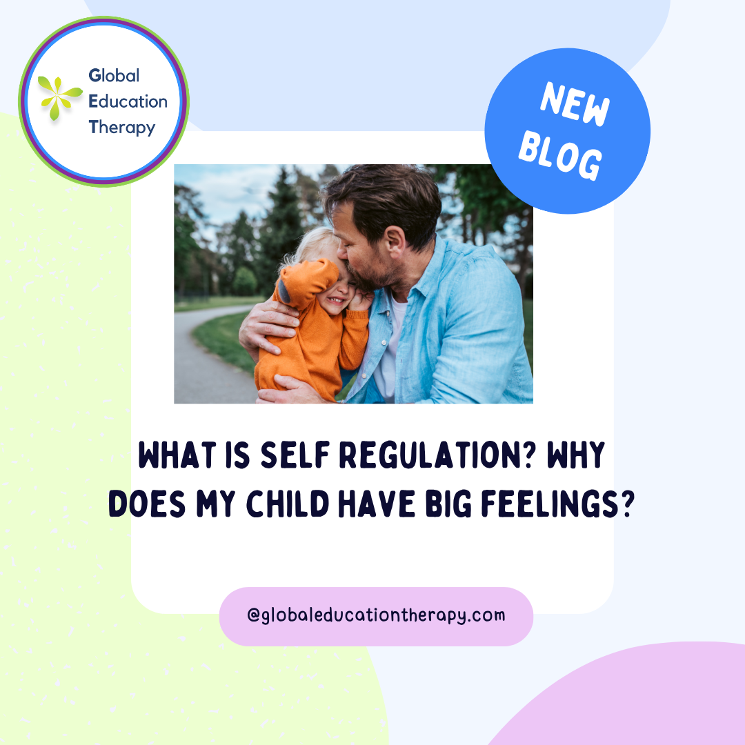 “Why Does My Child Have Such Big Feelings?”