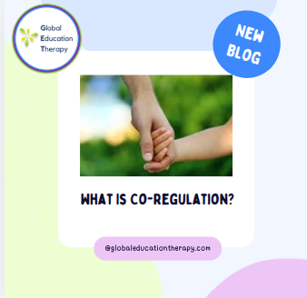 “What Is Co-Regulation?”