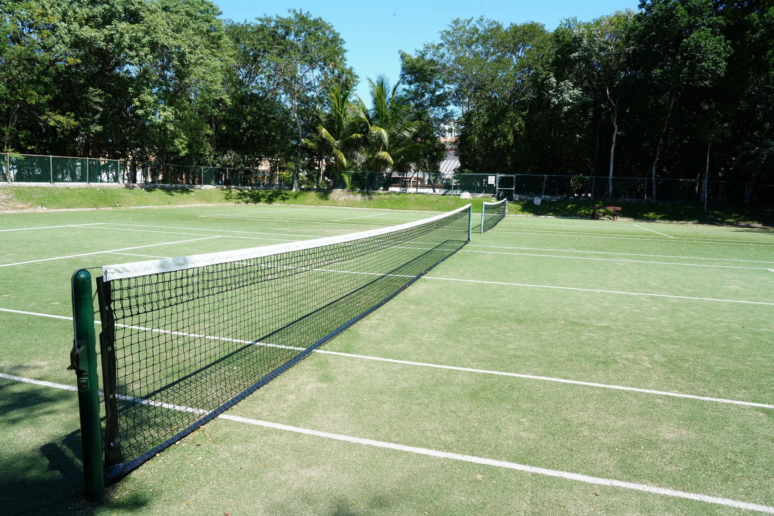 Empty tennis court with green surface, surrounded by trees and a fence, under a clear blue sky.
