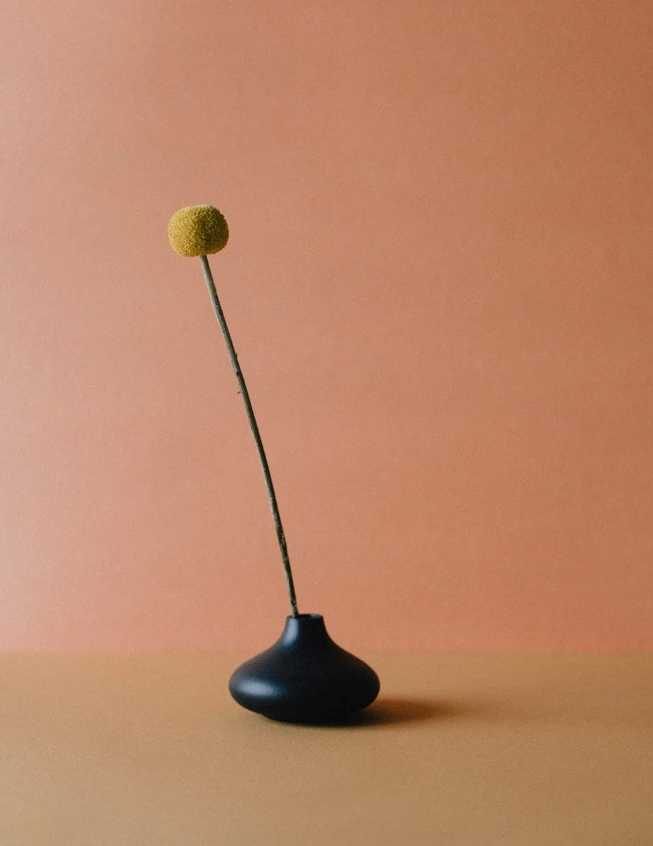 Still Standing__1 (1).jpg