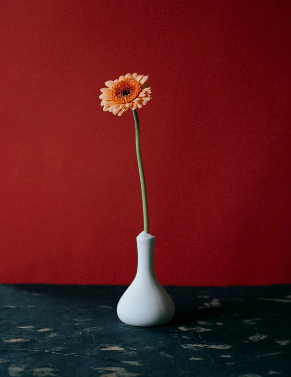 Still Standing__9.jpg