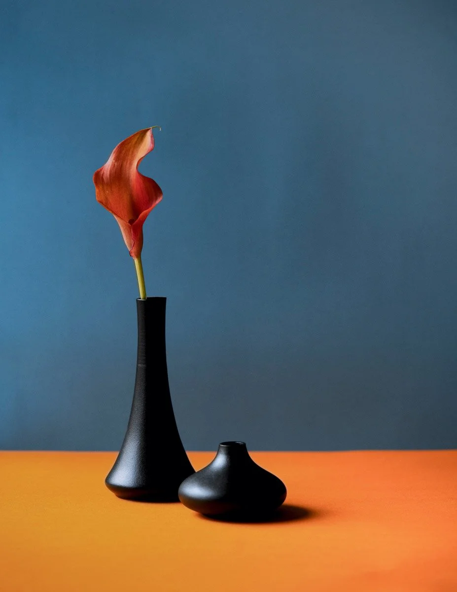 Still Standing__1.jpg