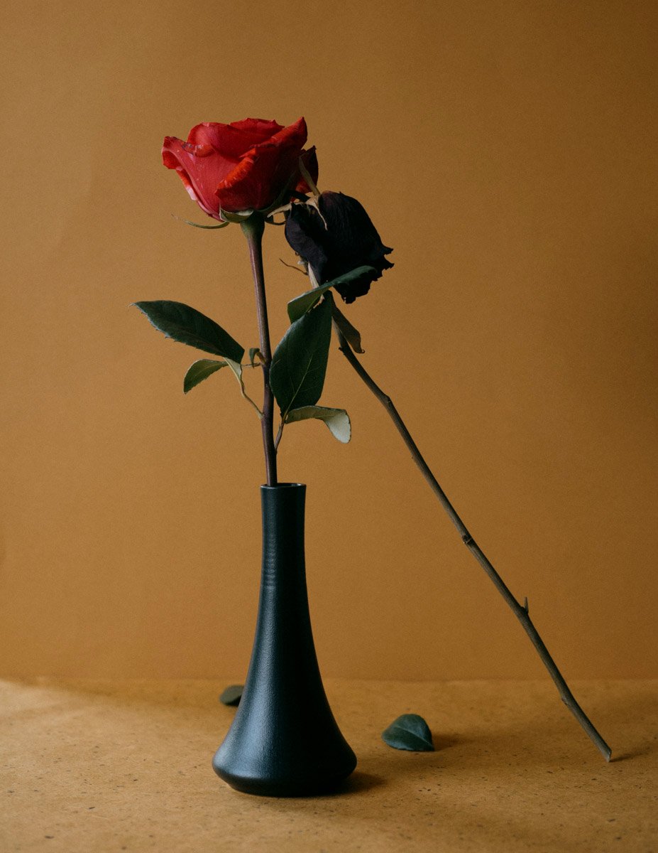 Still Standing__7.jpg