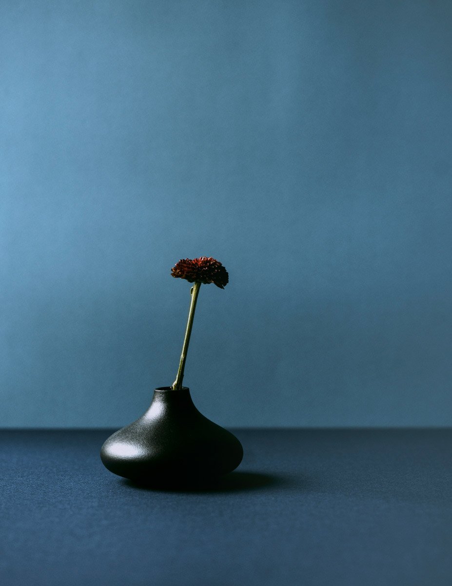 Still Standing__3.jpg