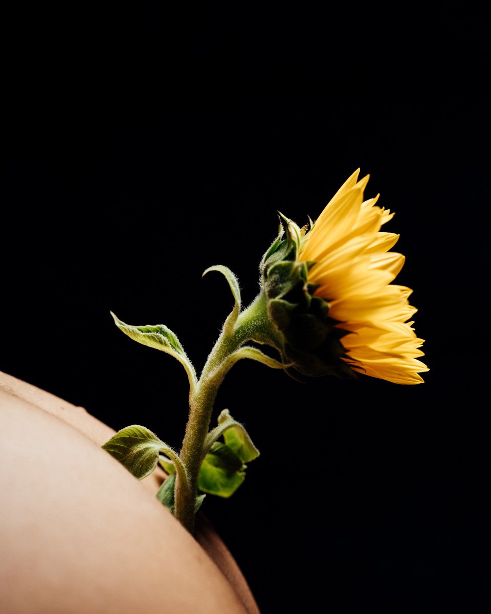 Living vase