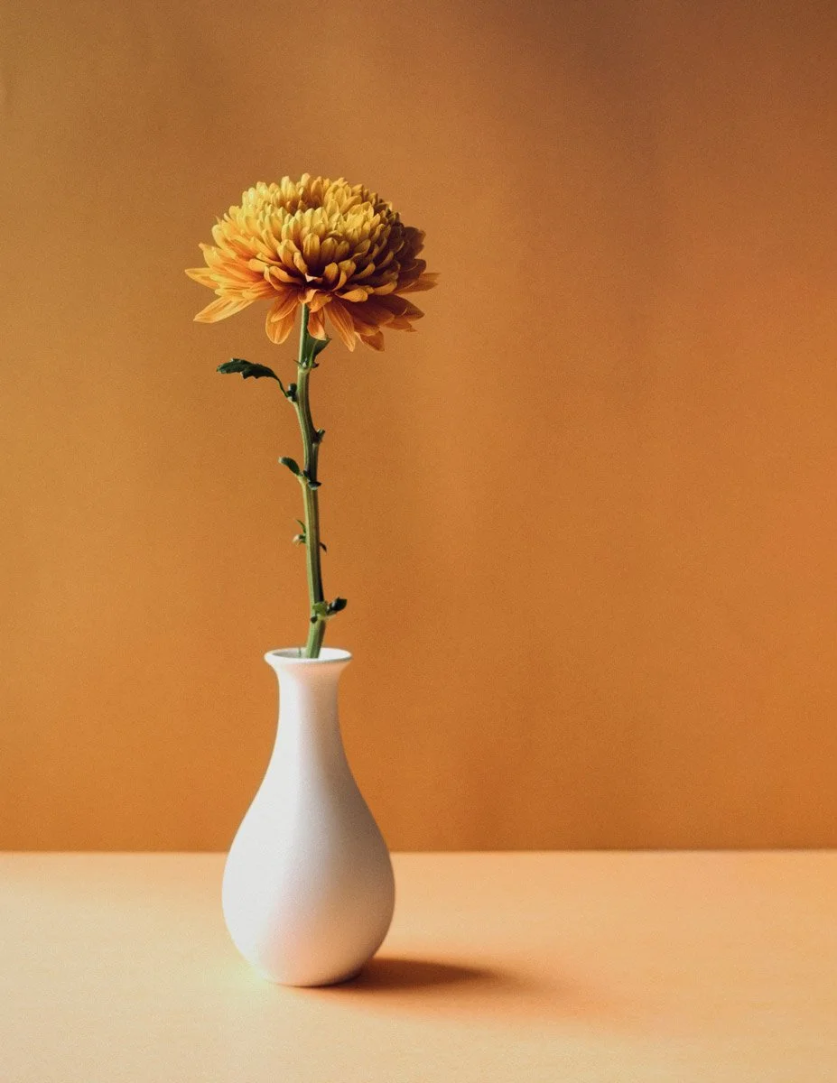 Still Standing__2.jpg