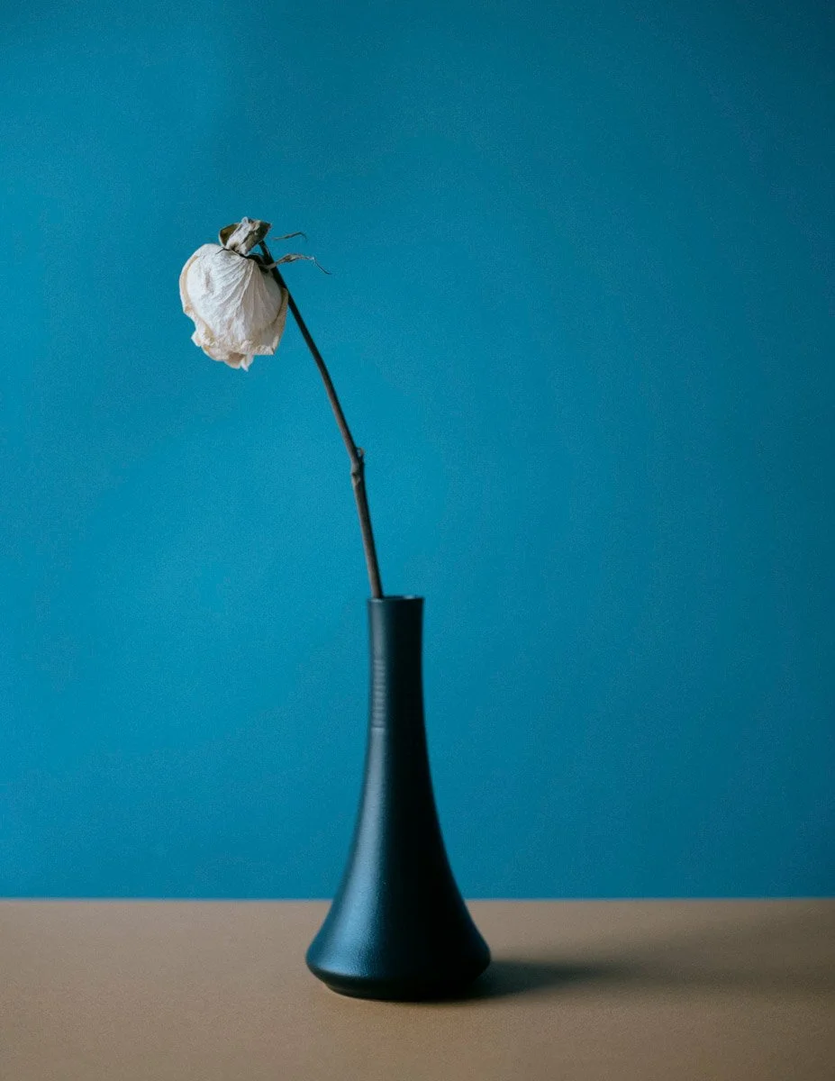 Still Standing__0.jpg