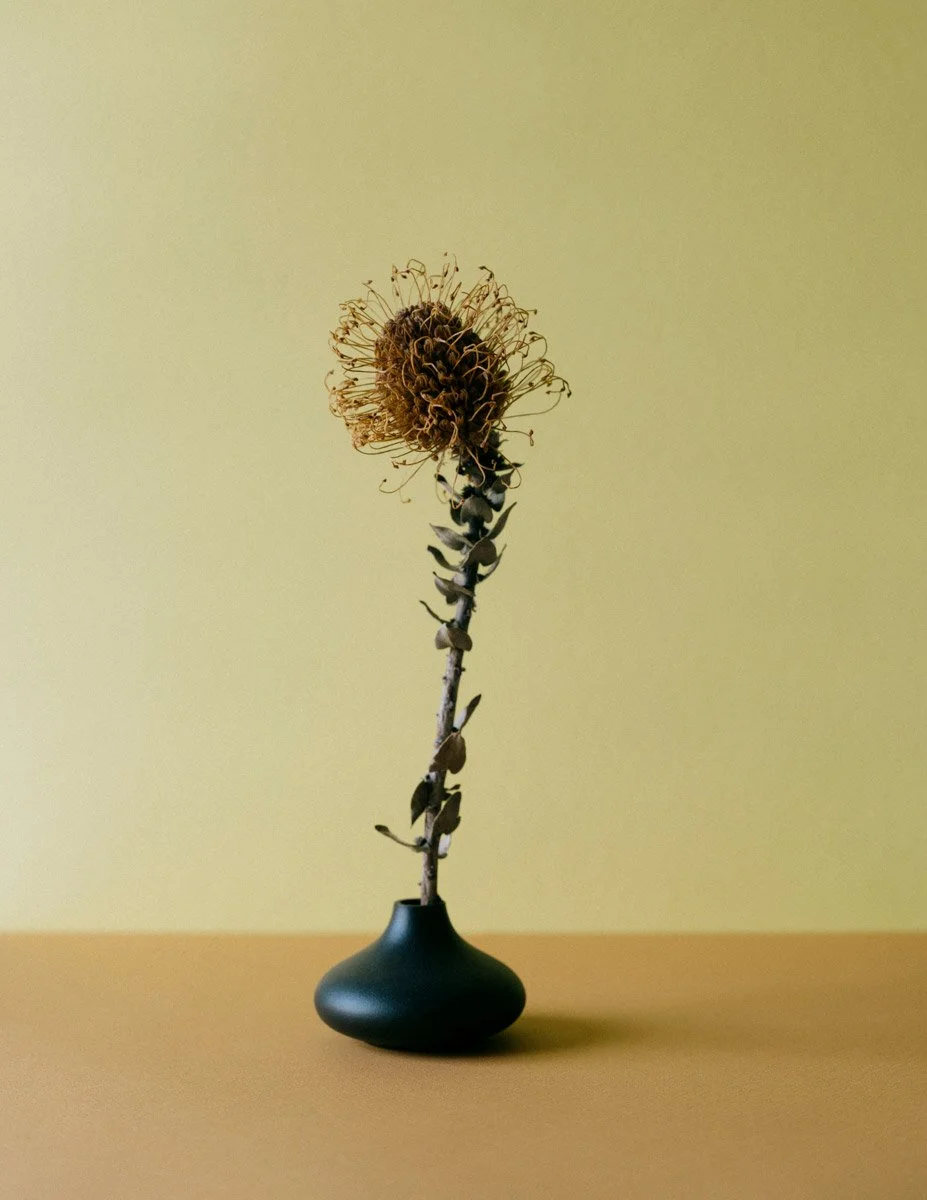 Still Standing__2 (1).jpg