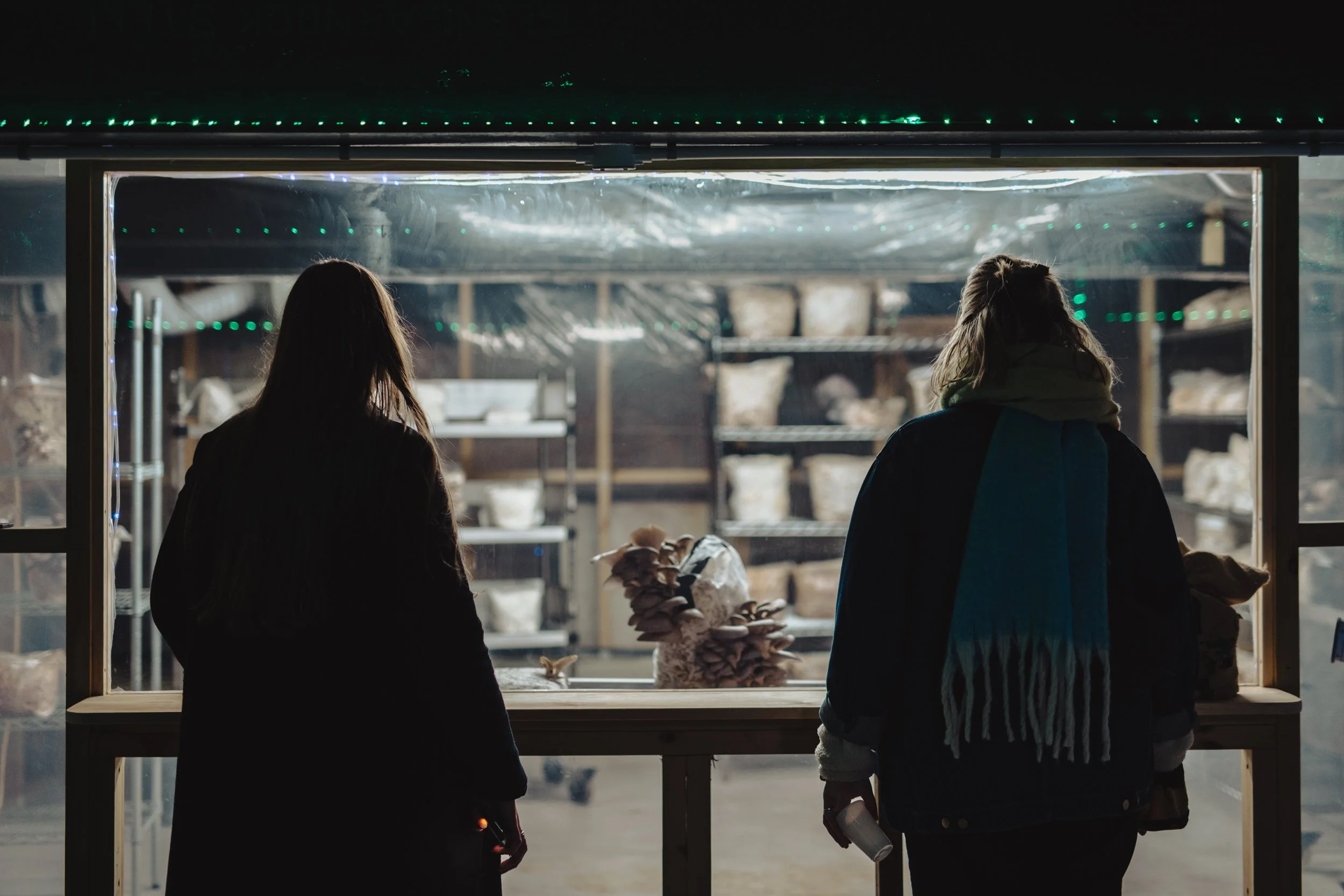 Silhouettes of two women looking at a display of mushrooms inside a glass-enclosed booth at night, with shelves of various items in the background.