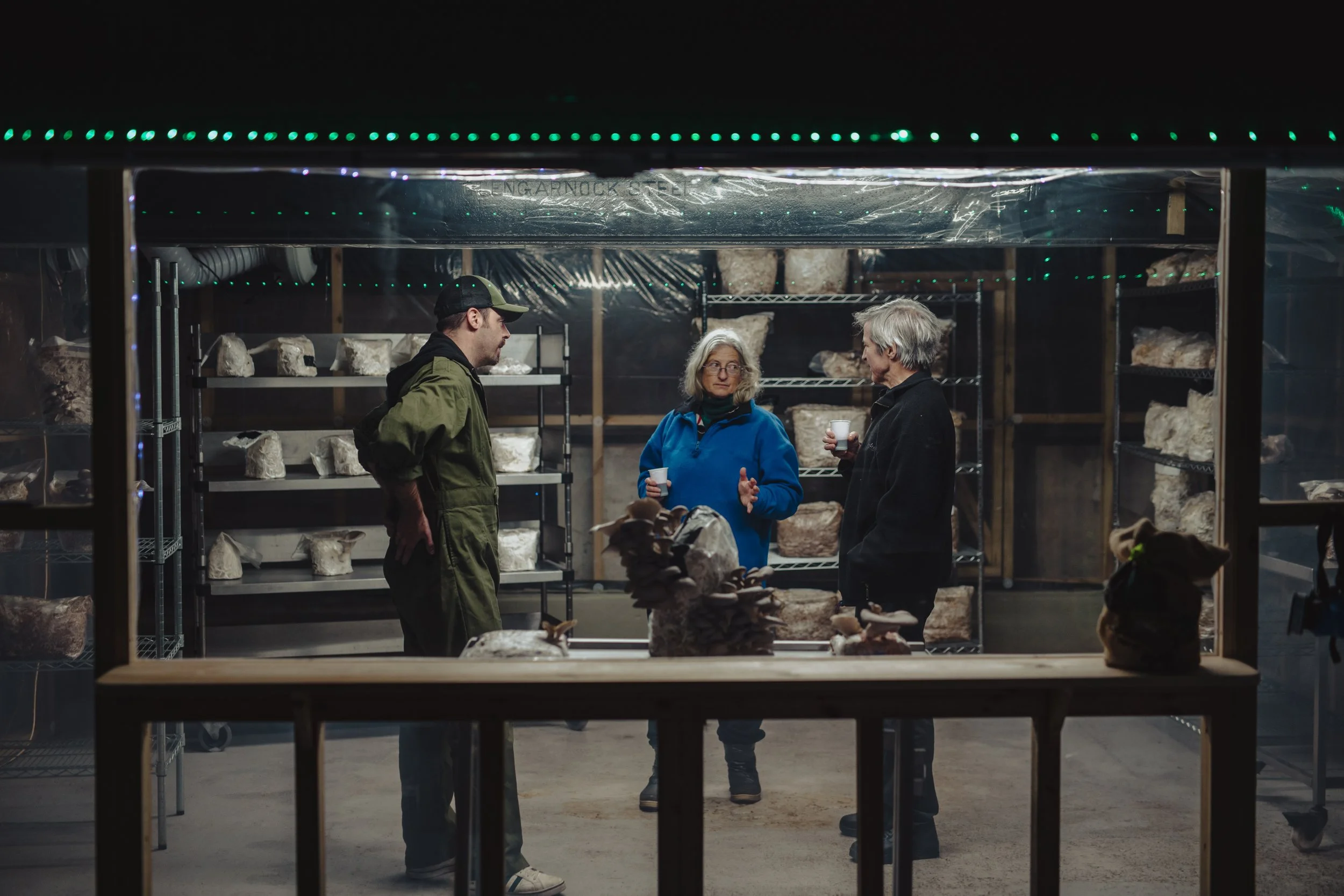 Three people inside a mushroom cultivation shed, with shelves of mushrooms in the background, having a conversation and drinking coffee.