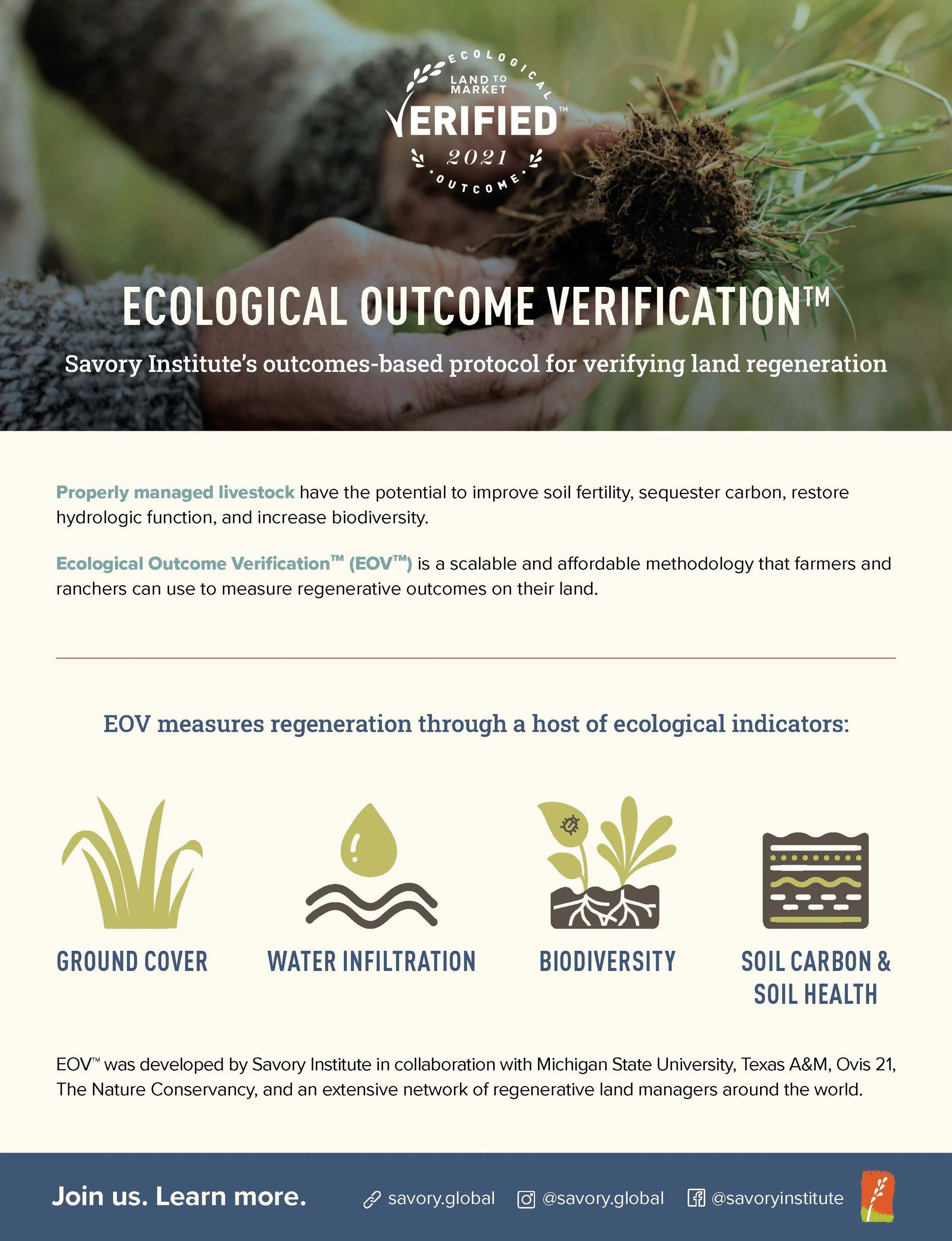 two-page flyer (pg 1 / 2)