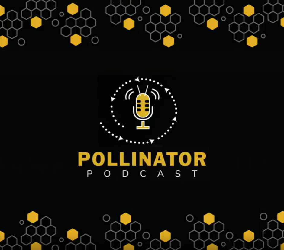 Leadership Lessons: Performance vs. Compliance