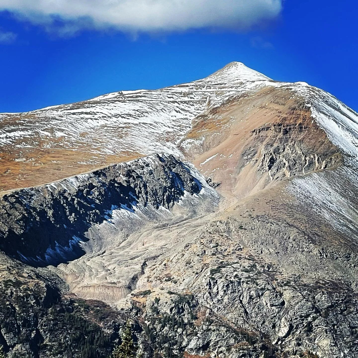 The goal of life is to make your heartbeat match the beat of the universe, to match your nature with Nature. 
&mdash;Joseph Campbell