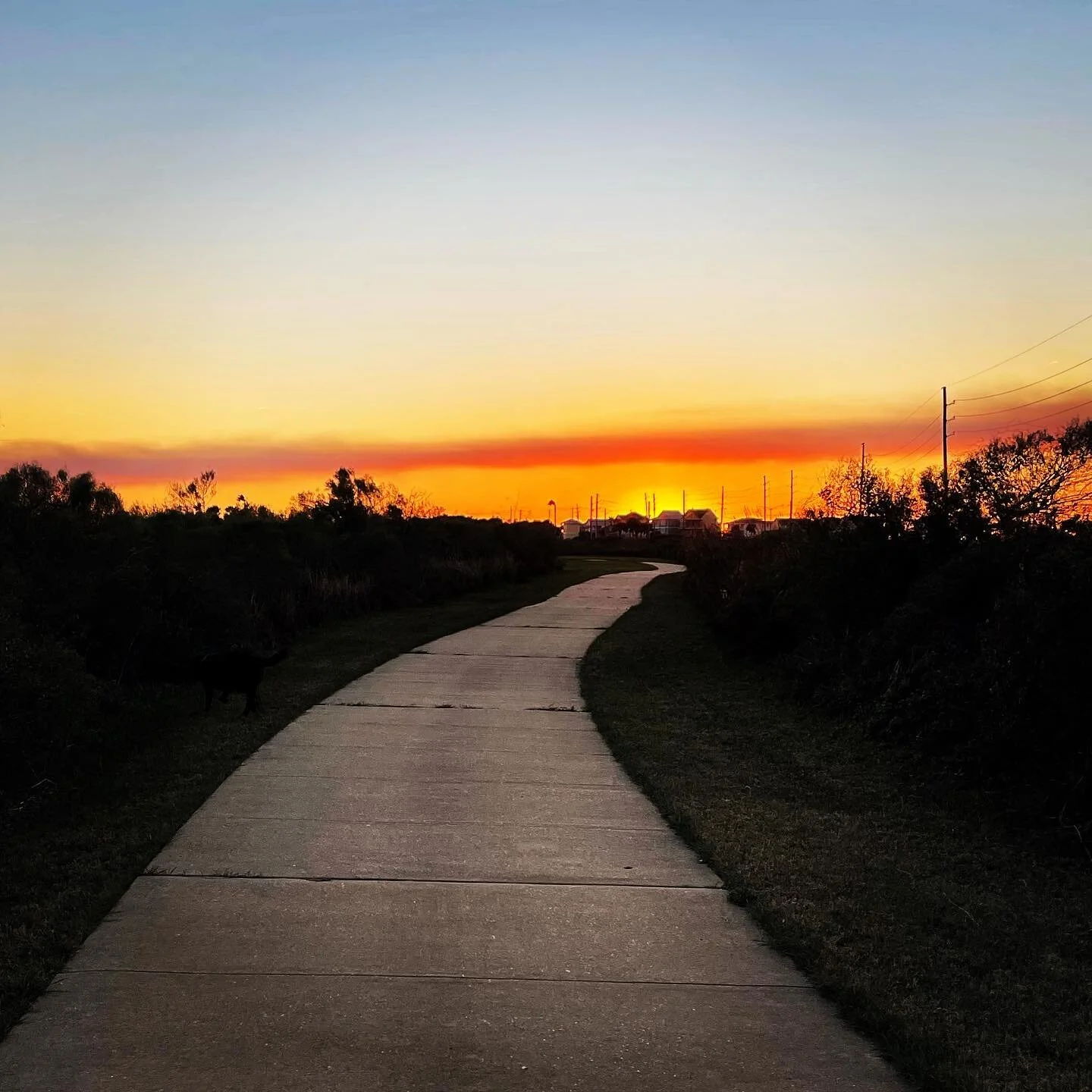 The appearance of things changes according to the emotions; and thus we see magic and beauty in them, while the magic and beauty are really in ourselves.
&mdash;Kahlil Gibran
🌟