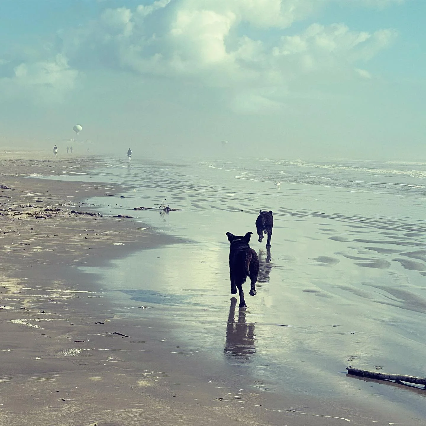 When you do things from your soul, you feel a river moving in you, a joy.
&mdash;Rumi