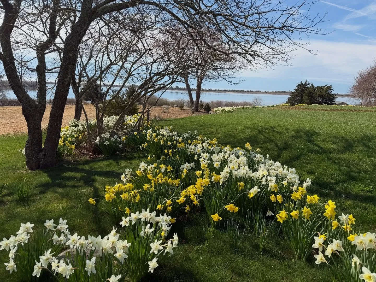 Run the circle, race the grasses&mdash; a meadow made for getting lost (and found). 🌱