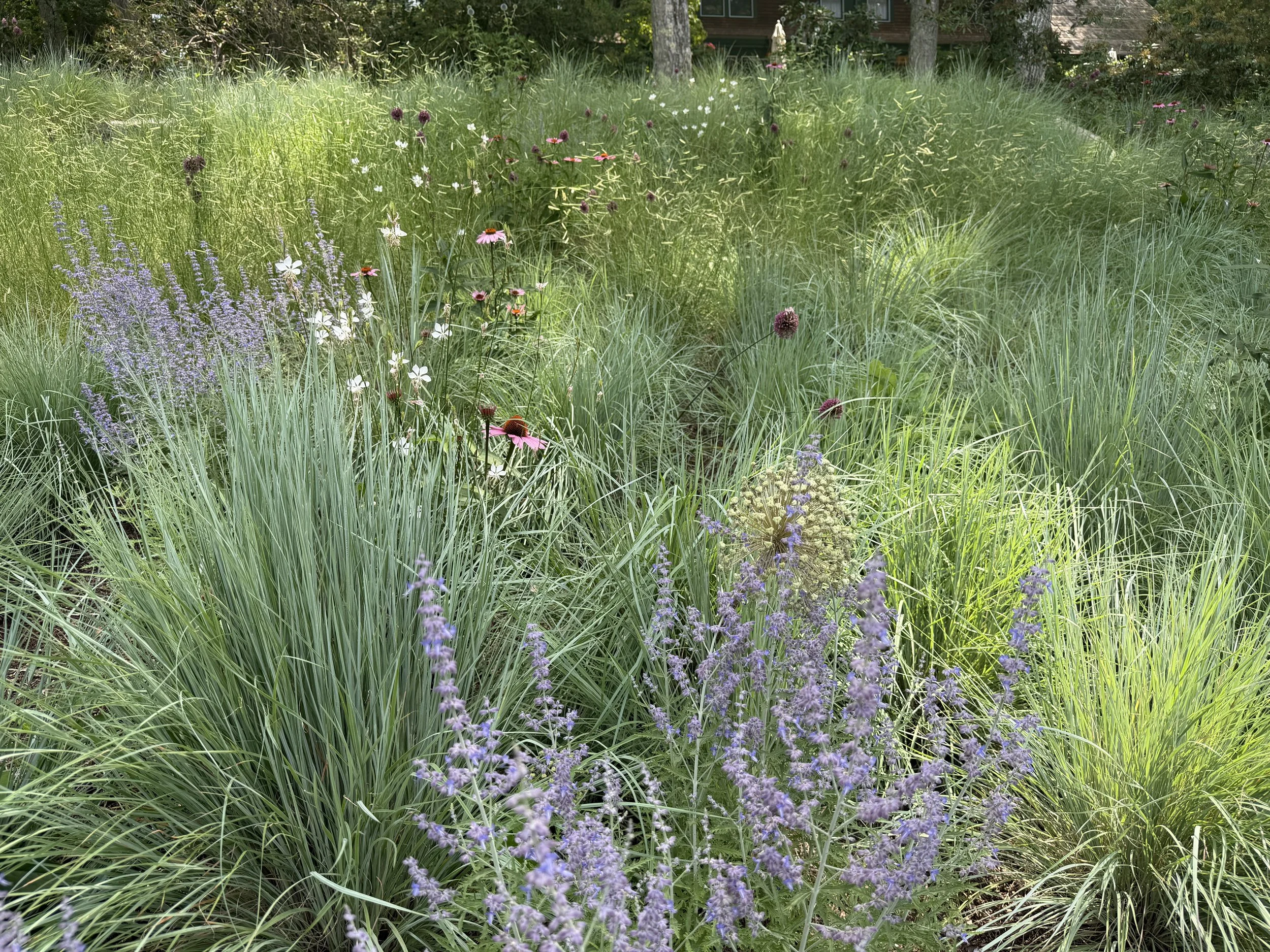 IMG_6024.JPEG