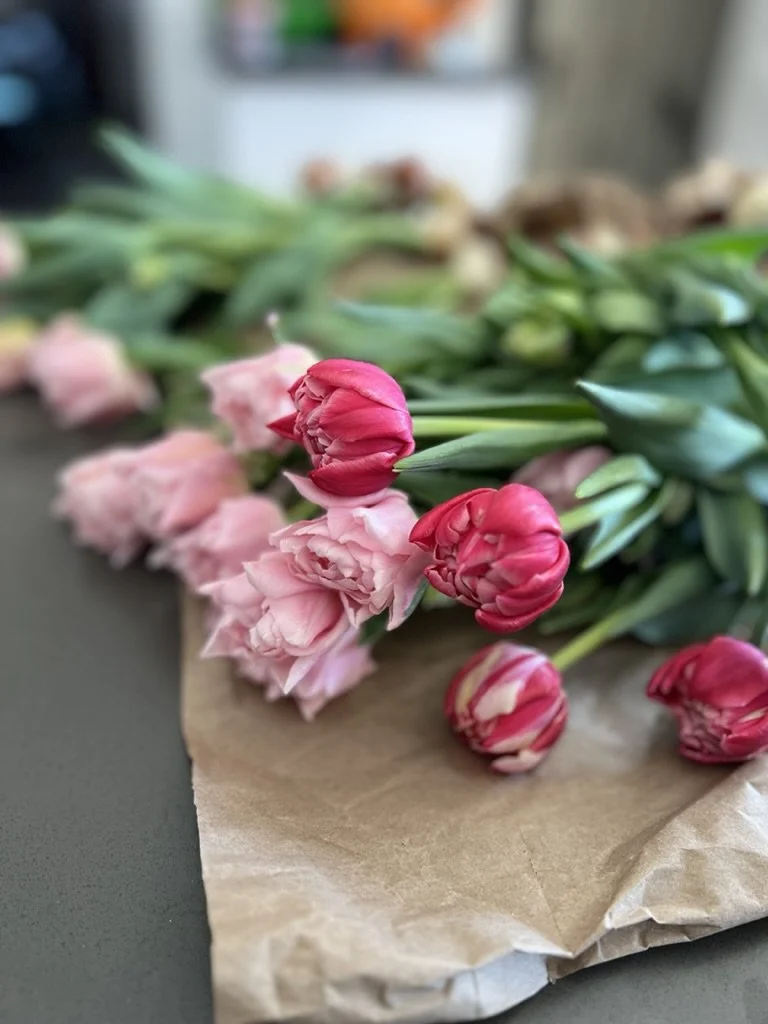 Winter tulip preorder