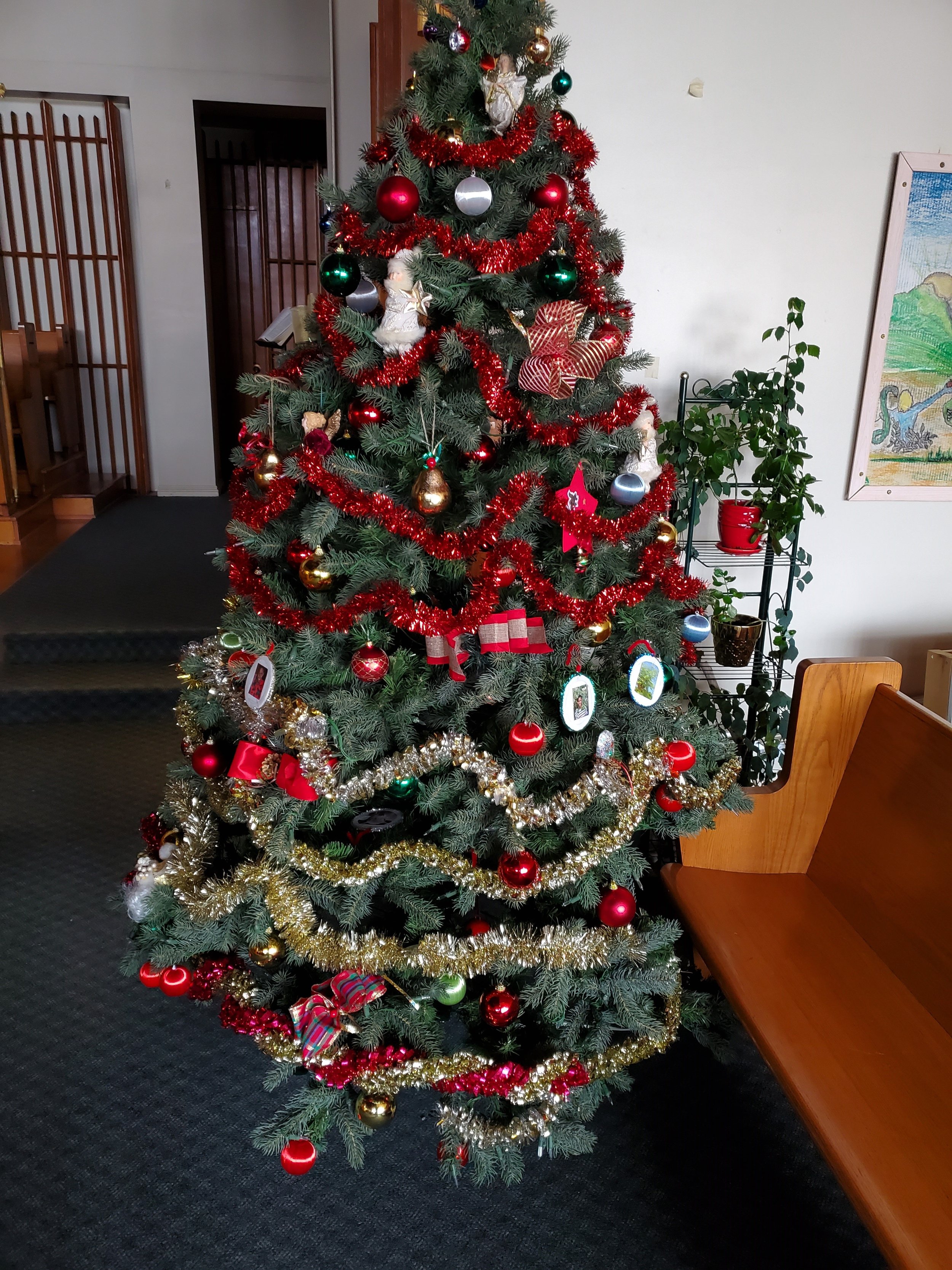 Advent Service and Christmas Decorating