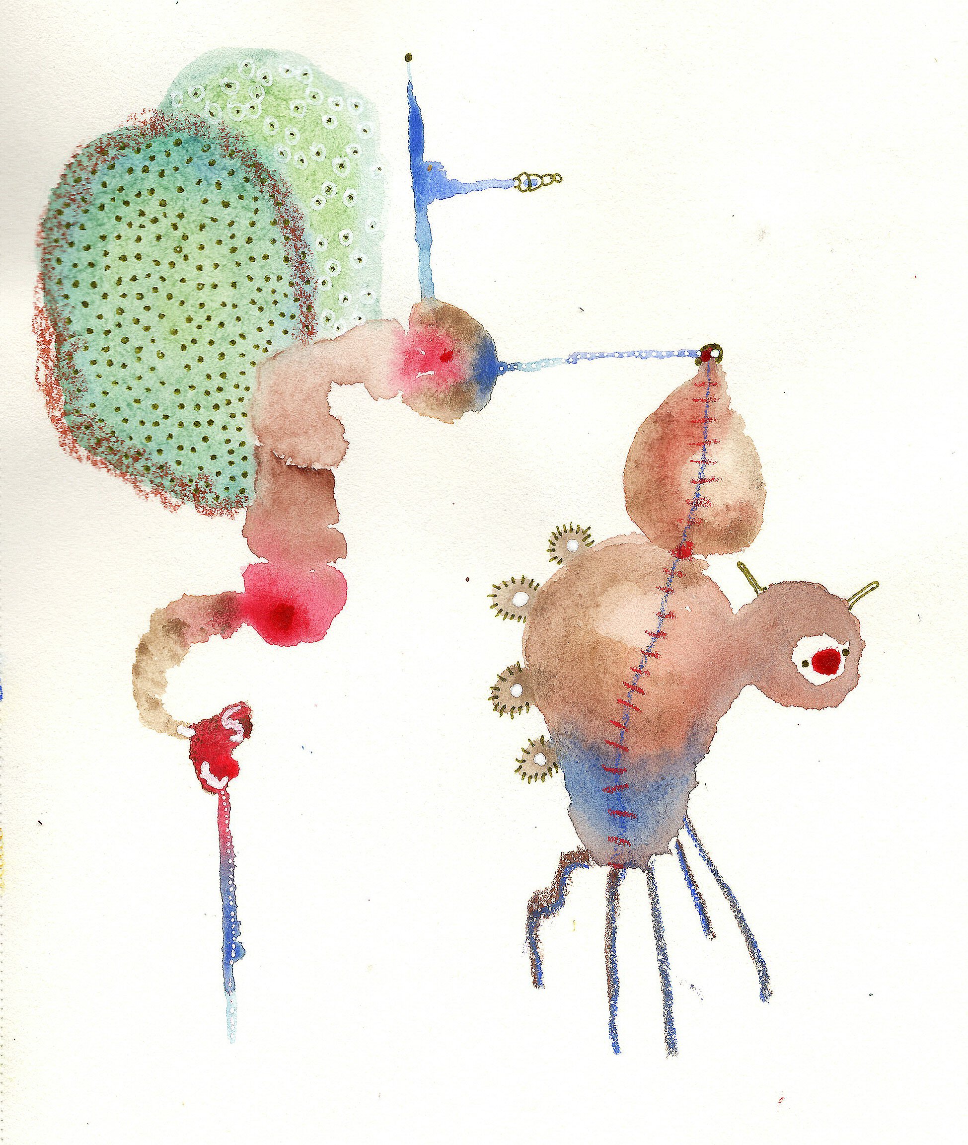 BugCaptured.jpg