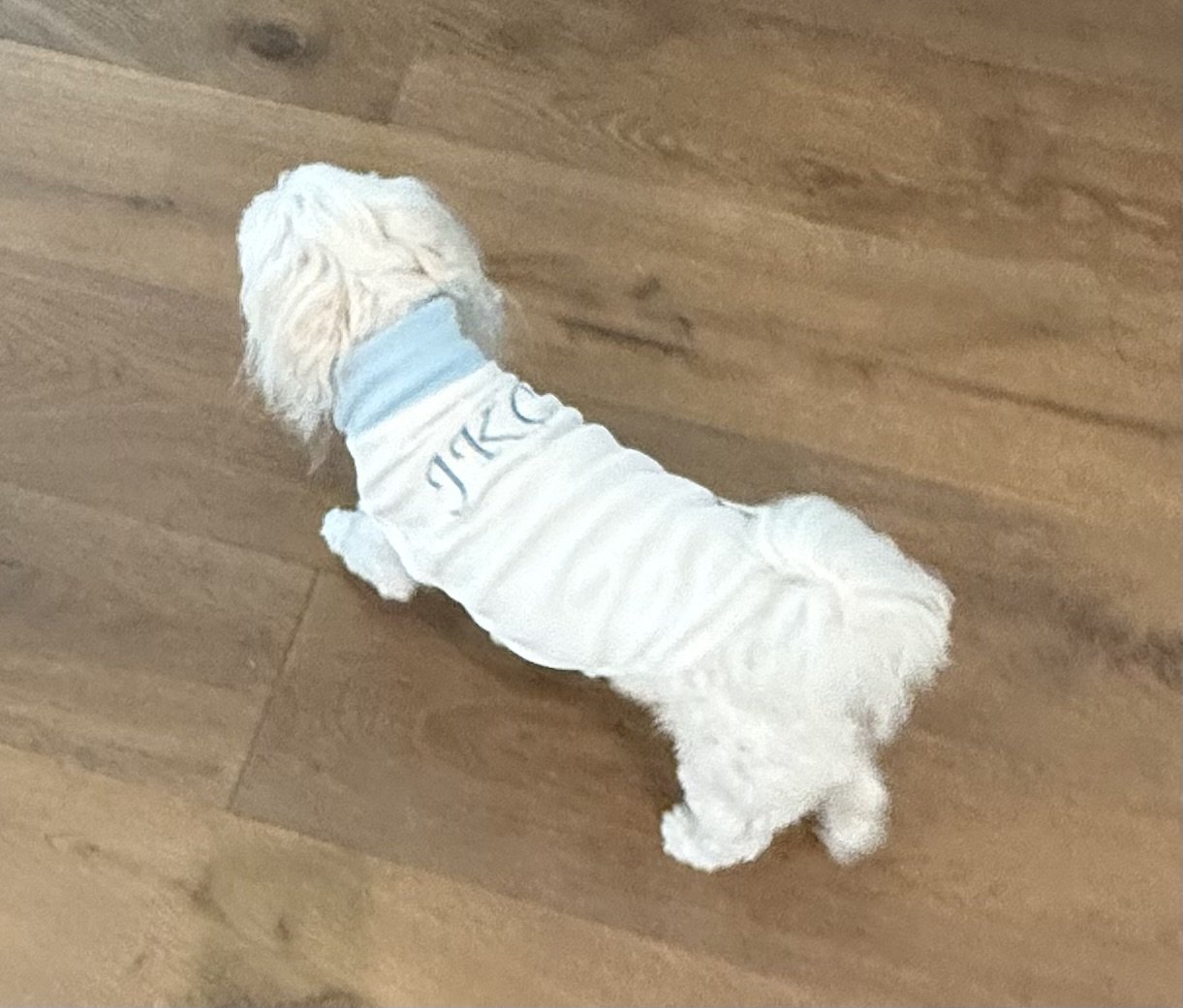 JKC Doggy Harness