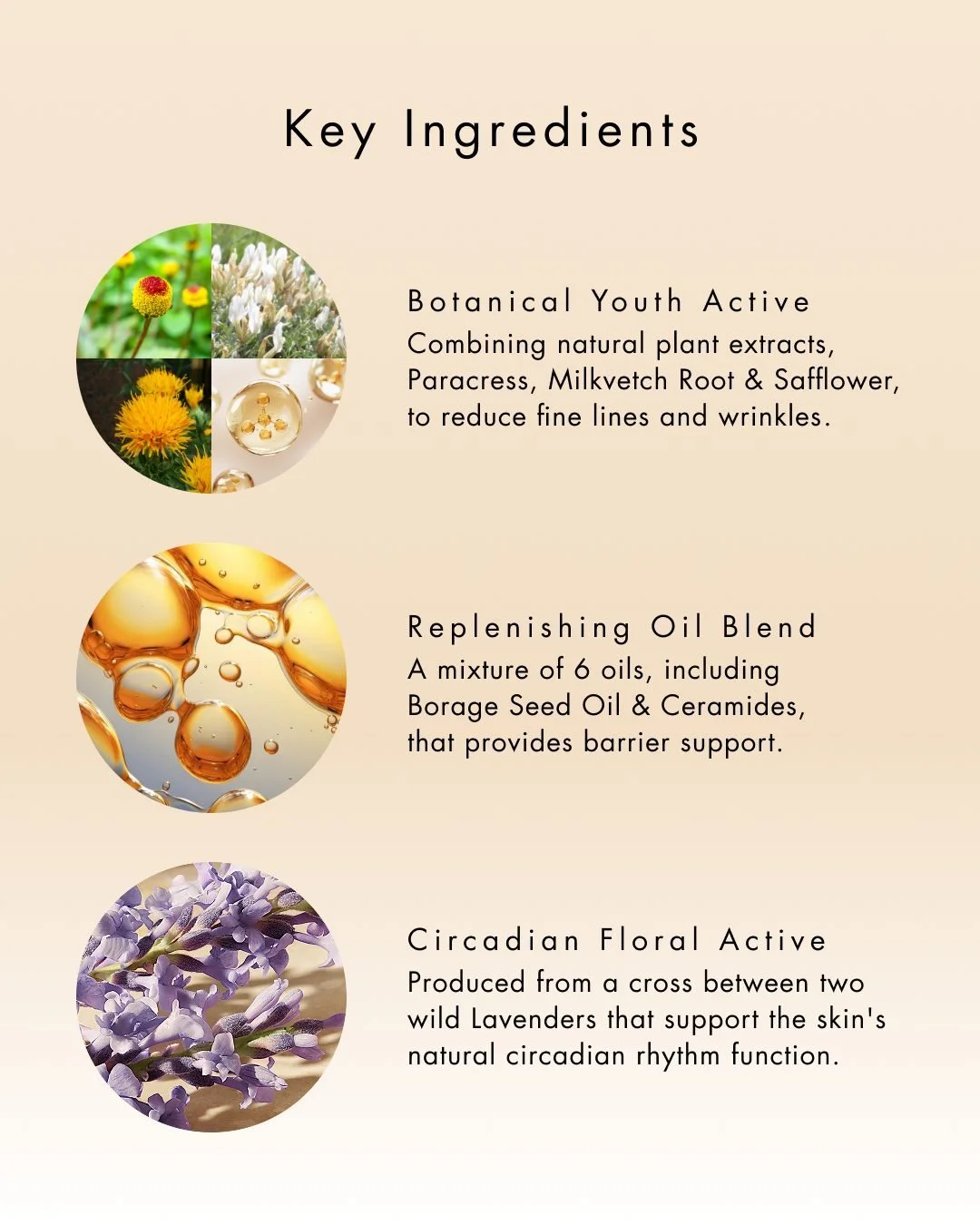 Ingredient copy and naming of Circadian Floral Active