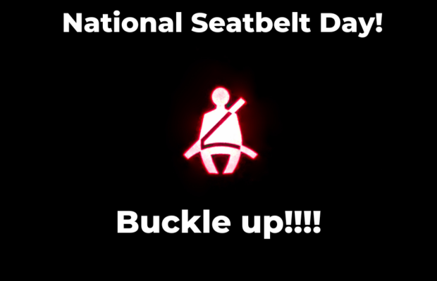 National Seat Belt Day - November 14th