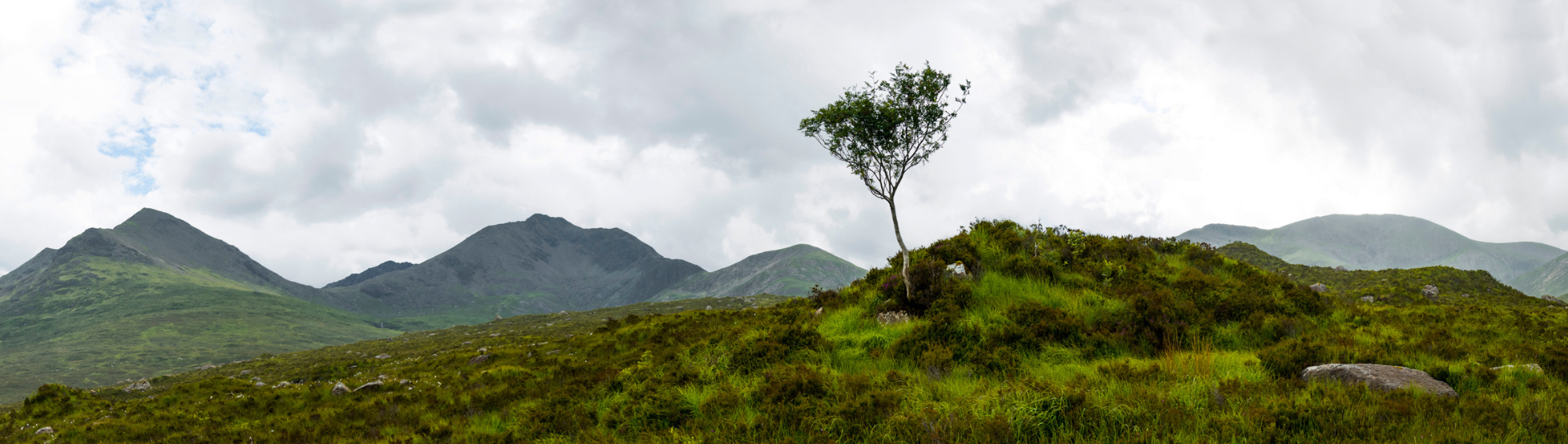 IRELAND  SCOTLAND Component v2 (10).png