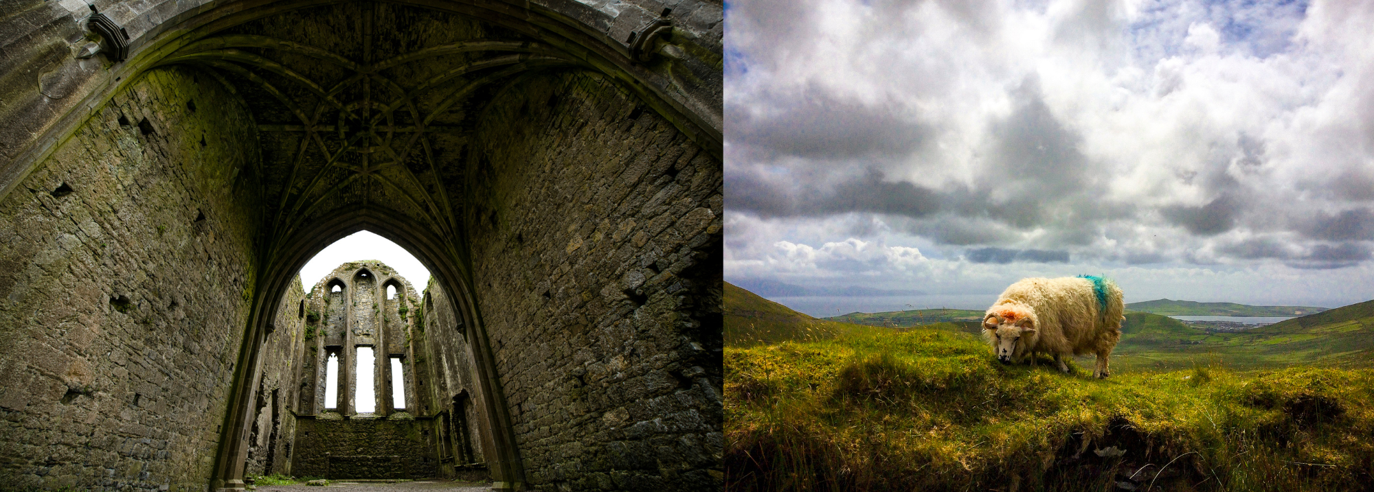 IRELAND  SCOTLAND Component v2 (3).png