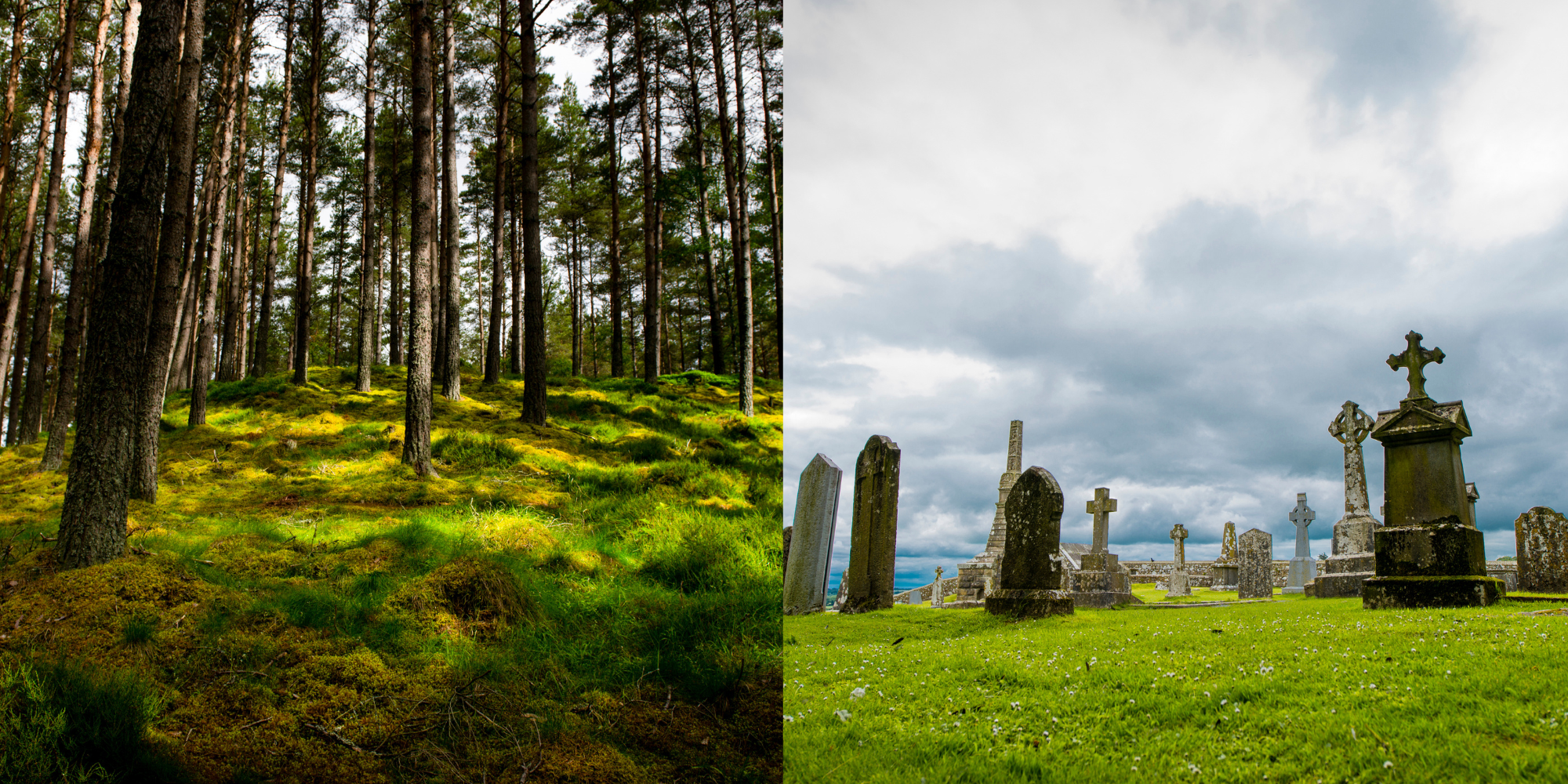 IRELAND  SCOTLAND Component v2 (11).png