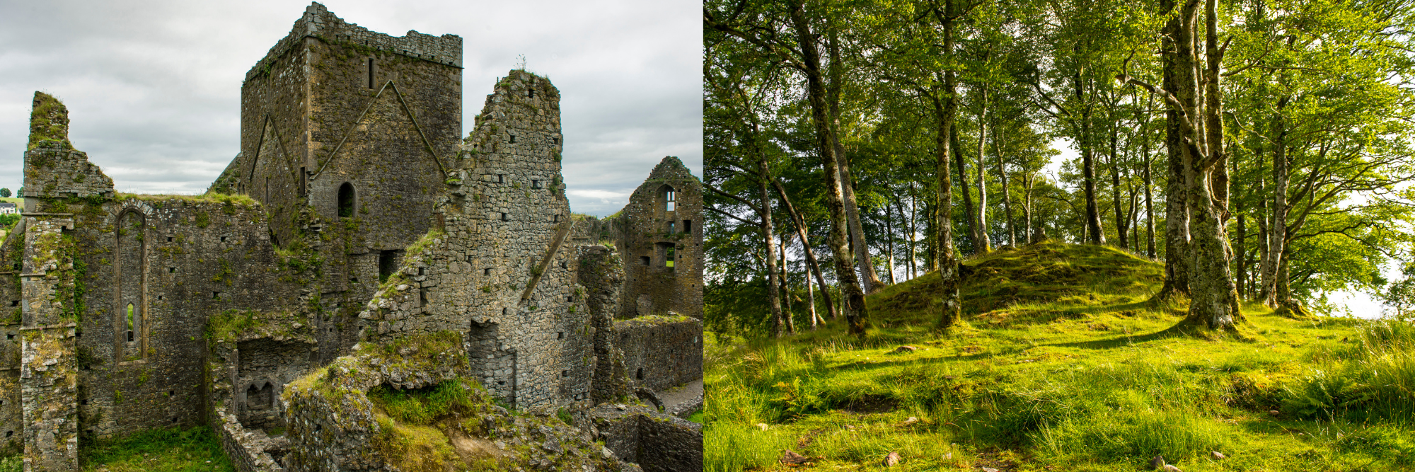 IRELAND  SCOTLAND Component v2 (9).png