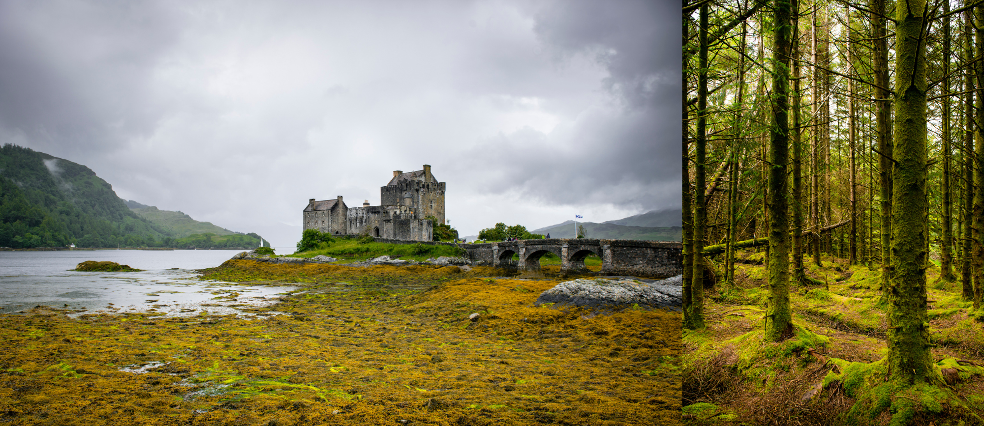 IRELAND  SCOTLAND Component v2 (1).png