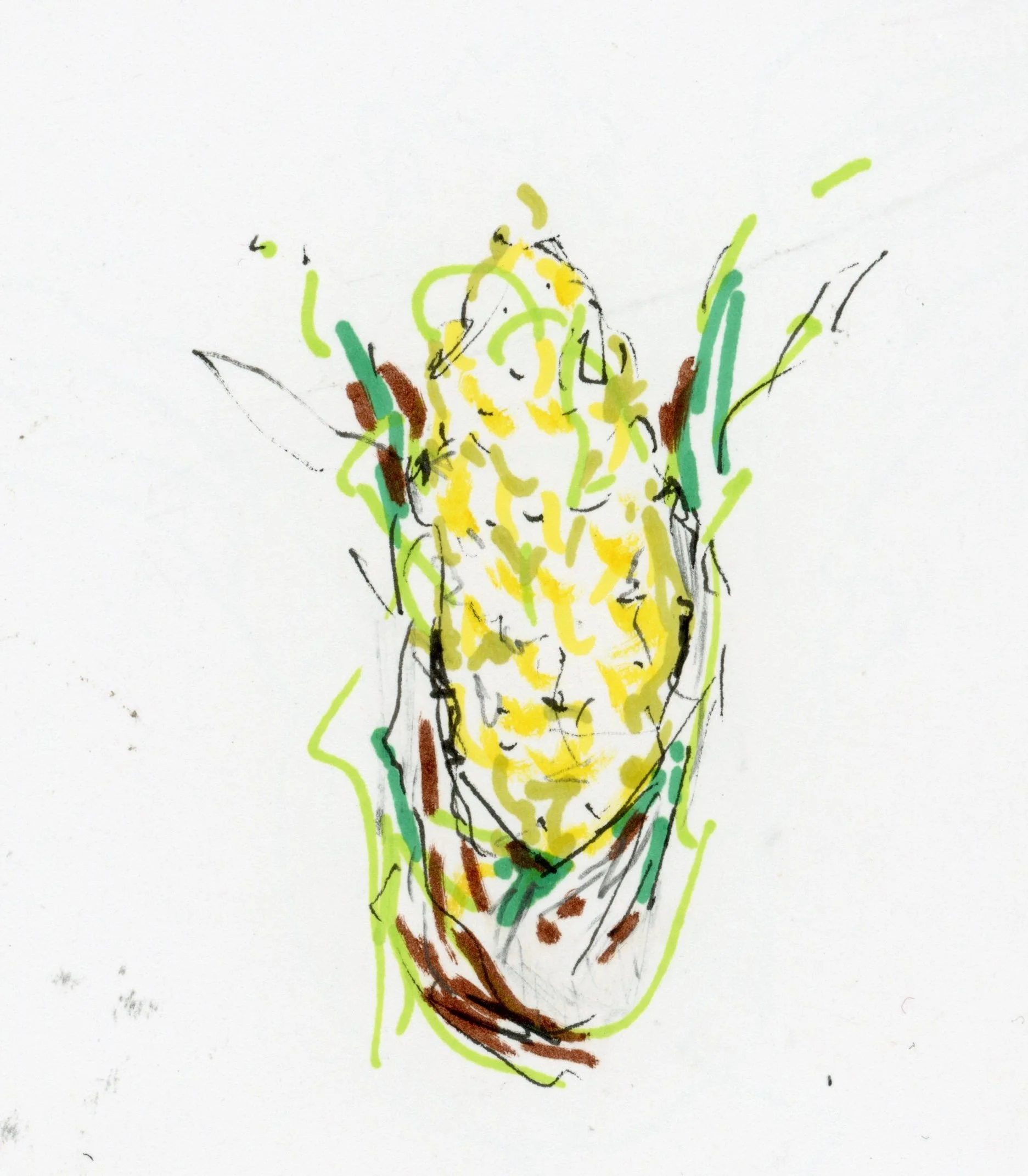 20250522-corn-drawing-scans-20250522_18224855_00042.jpg