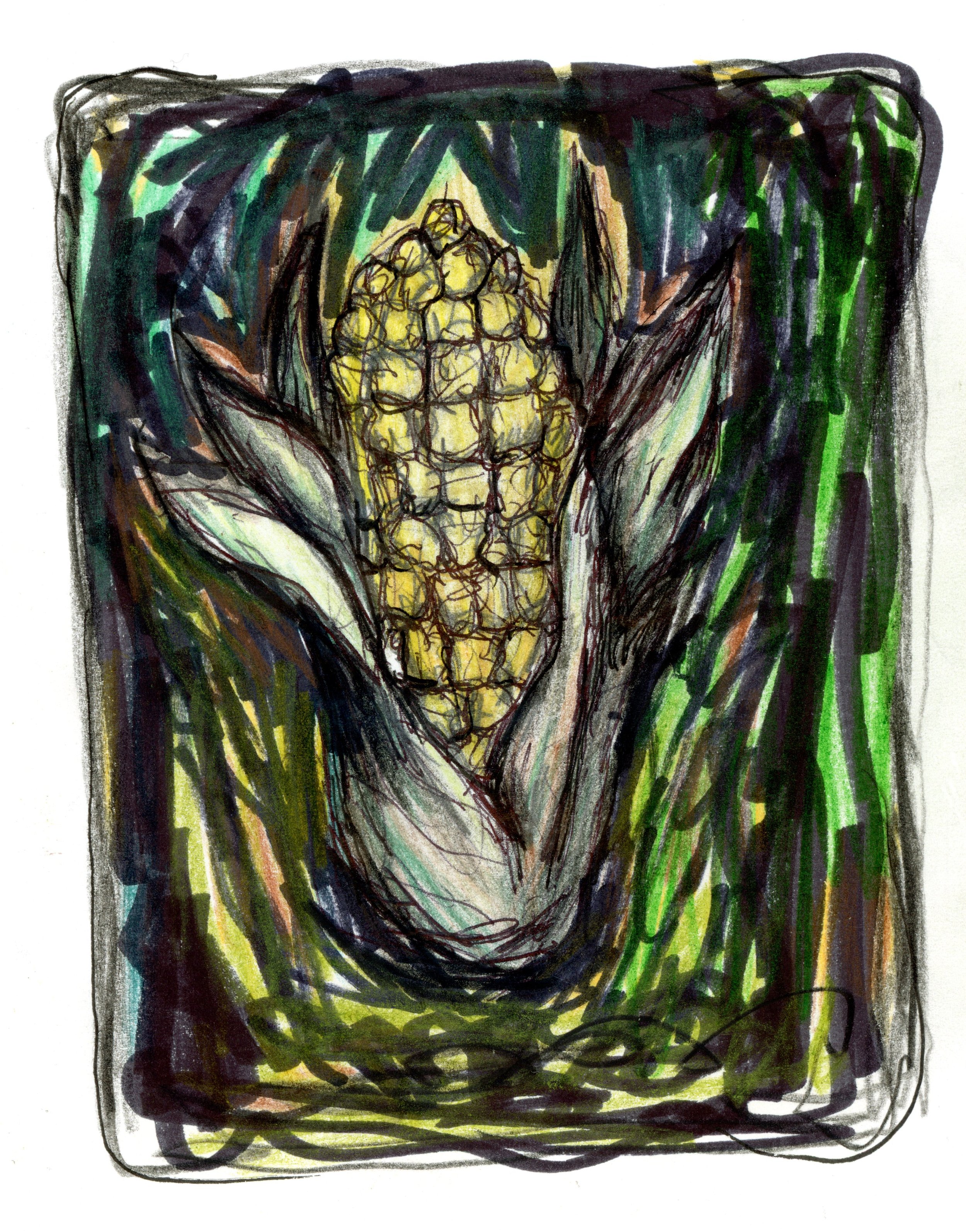 20250216-corn-drawing-scans-00009.jpg